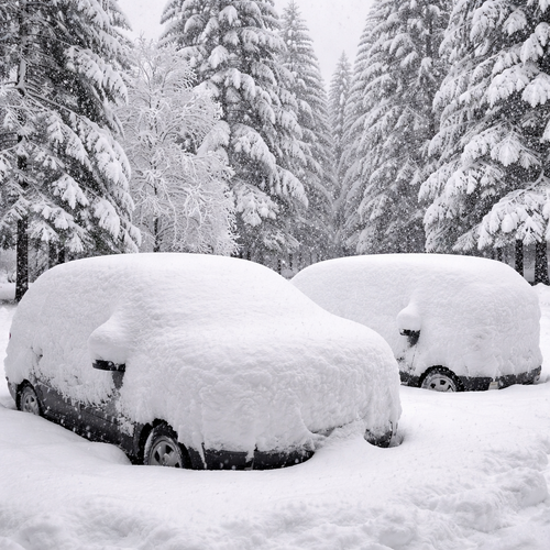 photo showing over 16 of snow on cars and trees-1-1