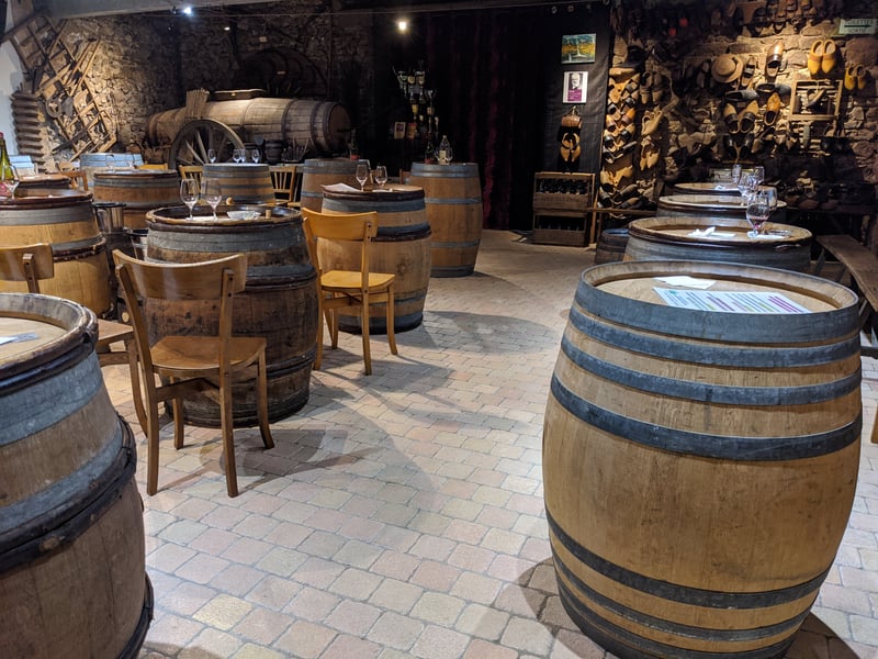 Wine tasting in France