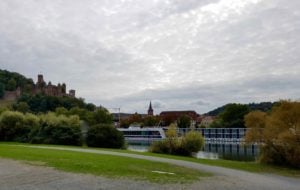 AmaDante on the Rhine