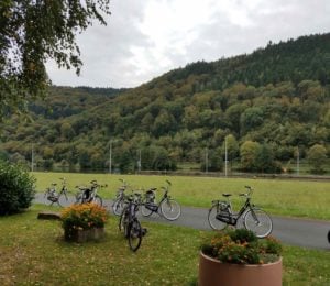 Our first stop after 10 km from the AmaDante. Outside of Wertheim