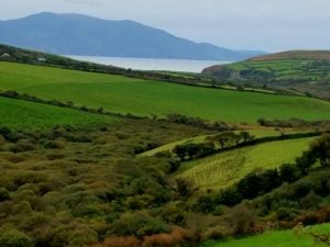 On the road to Dingle.