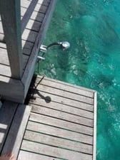 They even thought to add a warm water shower
