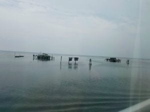 The Venetian lagoon between Chioggia and Venice