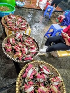 Ha Long City fish market crabs for sale
