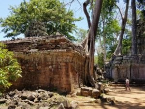 Angkor's TA Prohm Temple has not been fully refurbished