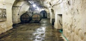 Go Astro Travel sells beer themed river cruises