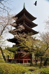 Pagoda at Tokyo Ueda Zoo was built in 1639