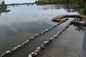 A traditional fish trap in a Huahine lagoon