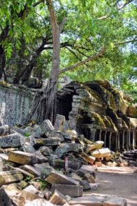 Ta Prohm temple is still mostly the way it was originally found. It was one of the great Kymer Temples