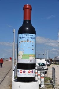 Driving through the Medoc