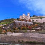 Fall Foliage on Rhine