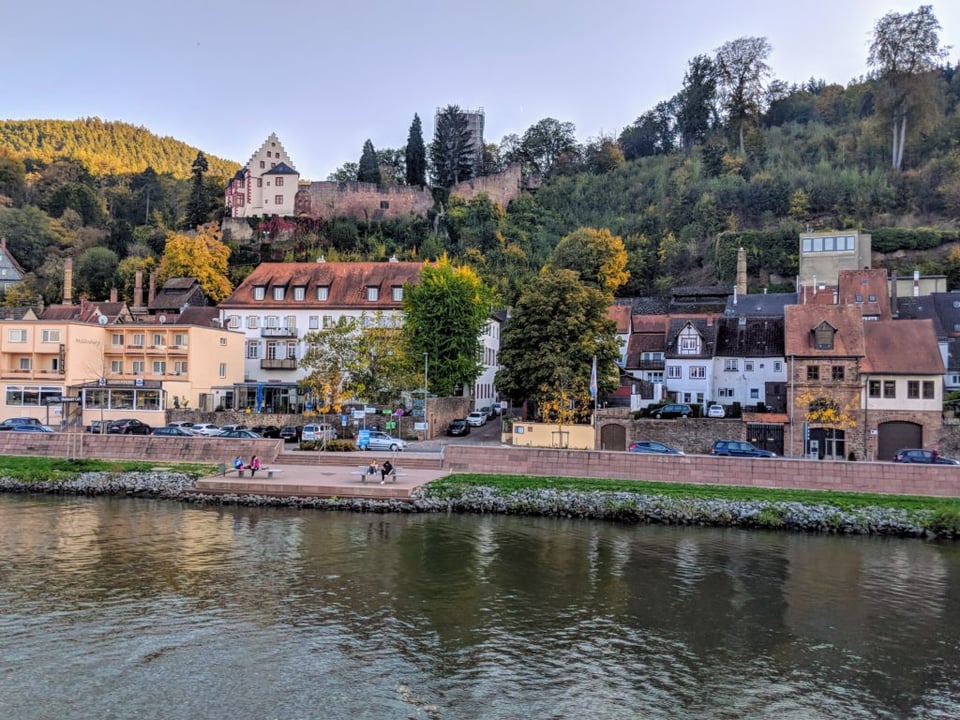 Go Astro Travel views along the Rhine River Germany river cruise