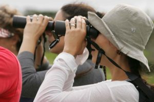 What can you see on an escorted tour?
