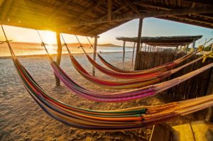 Hammocks on the Beach
