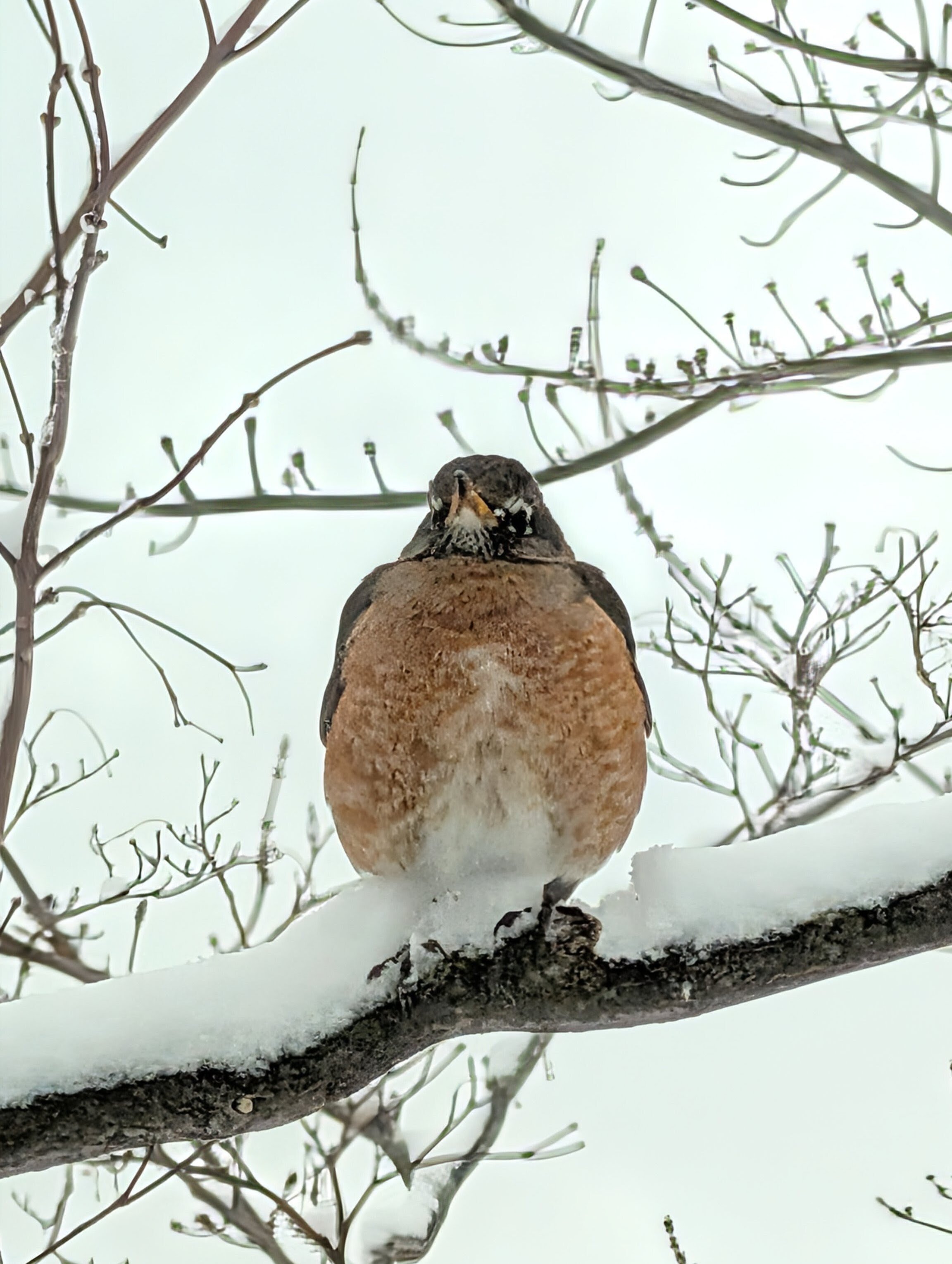 PXL_20260223_122419282~2