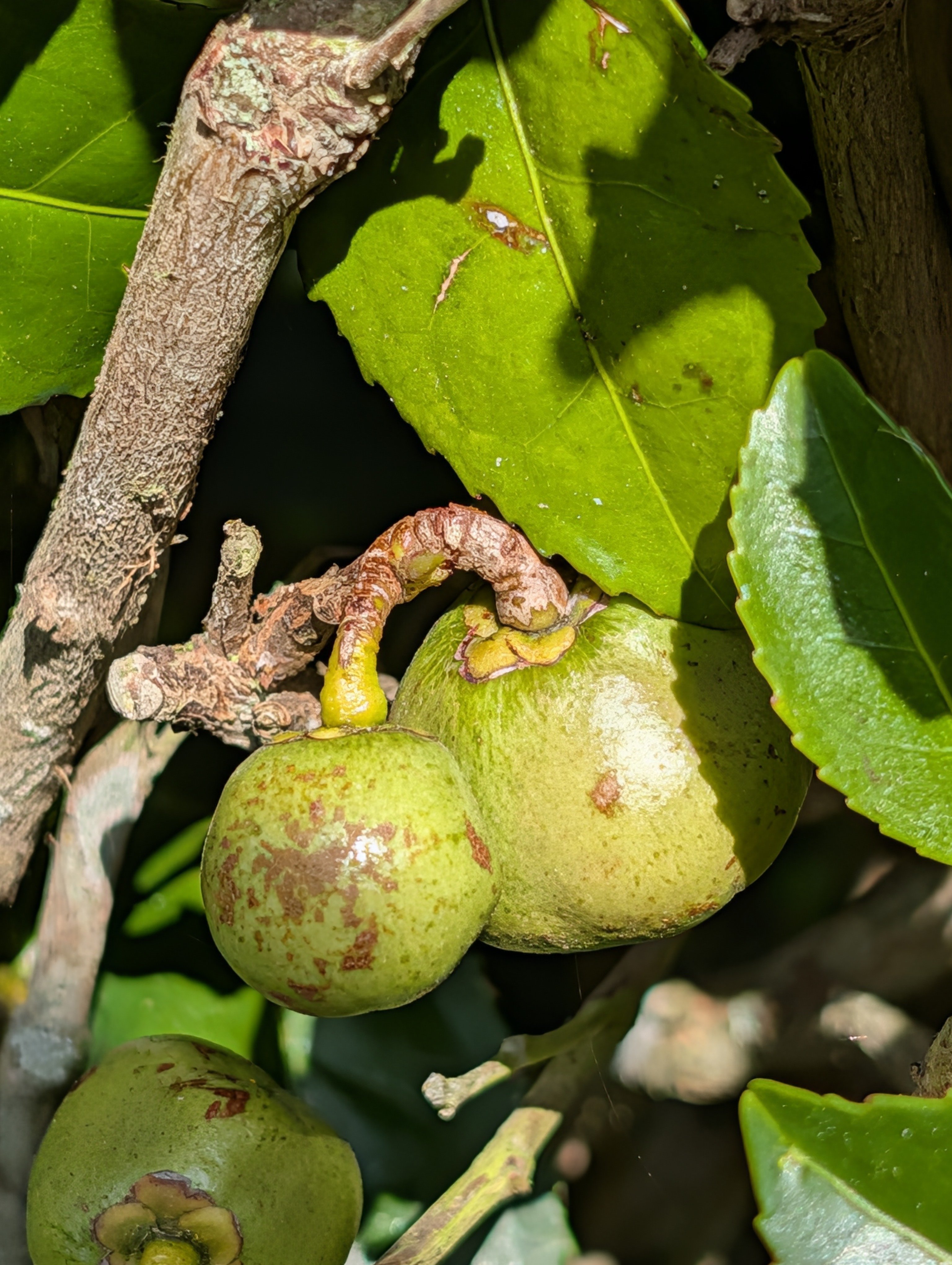 PXL_20260228_215825728