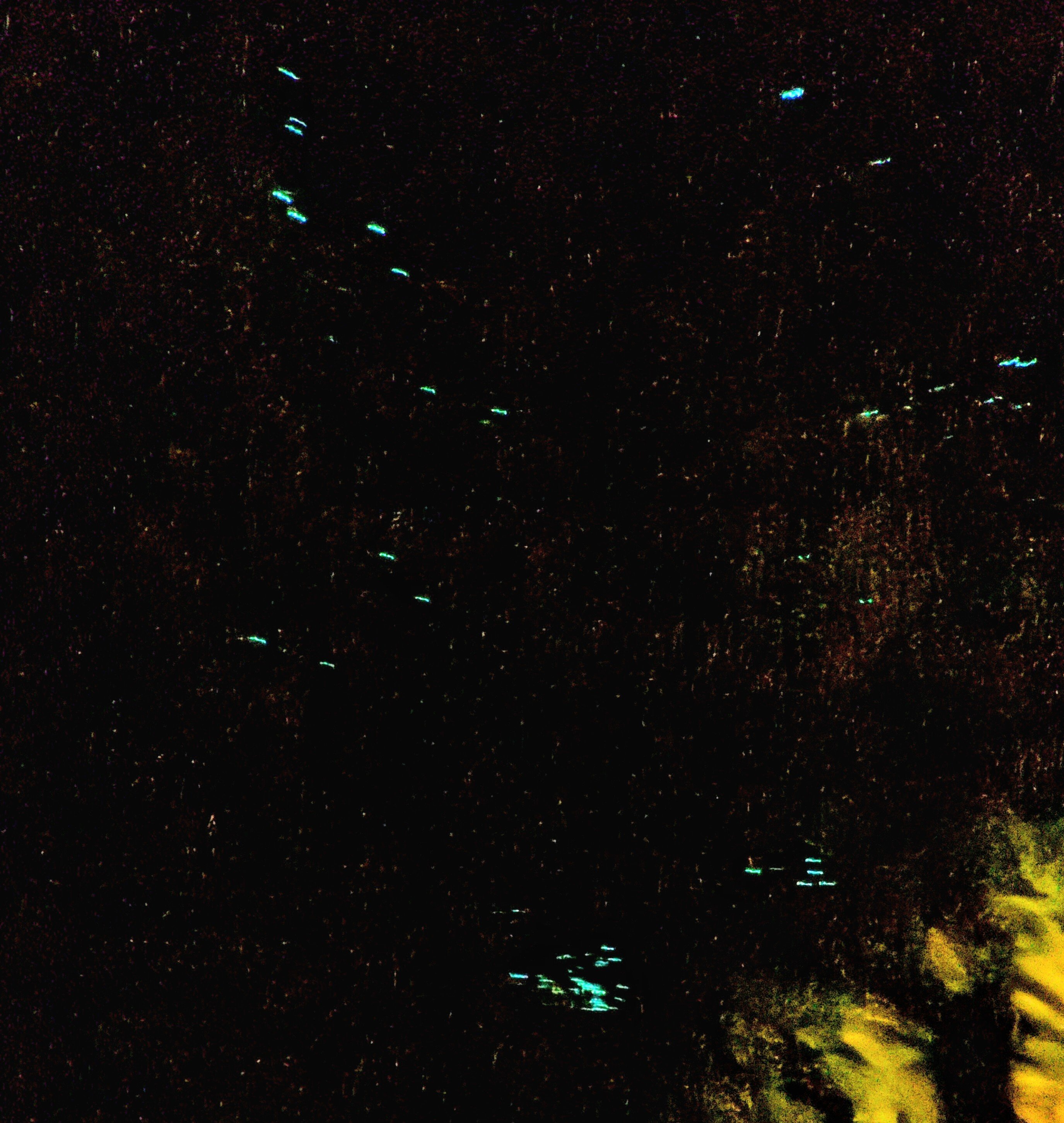 PXL_20260301_011857284.NIGHT~2