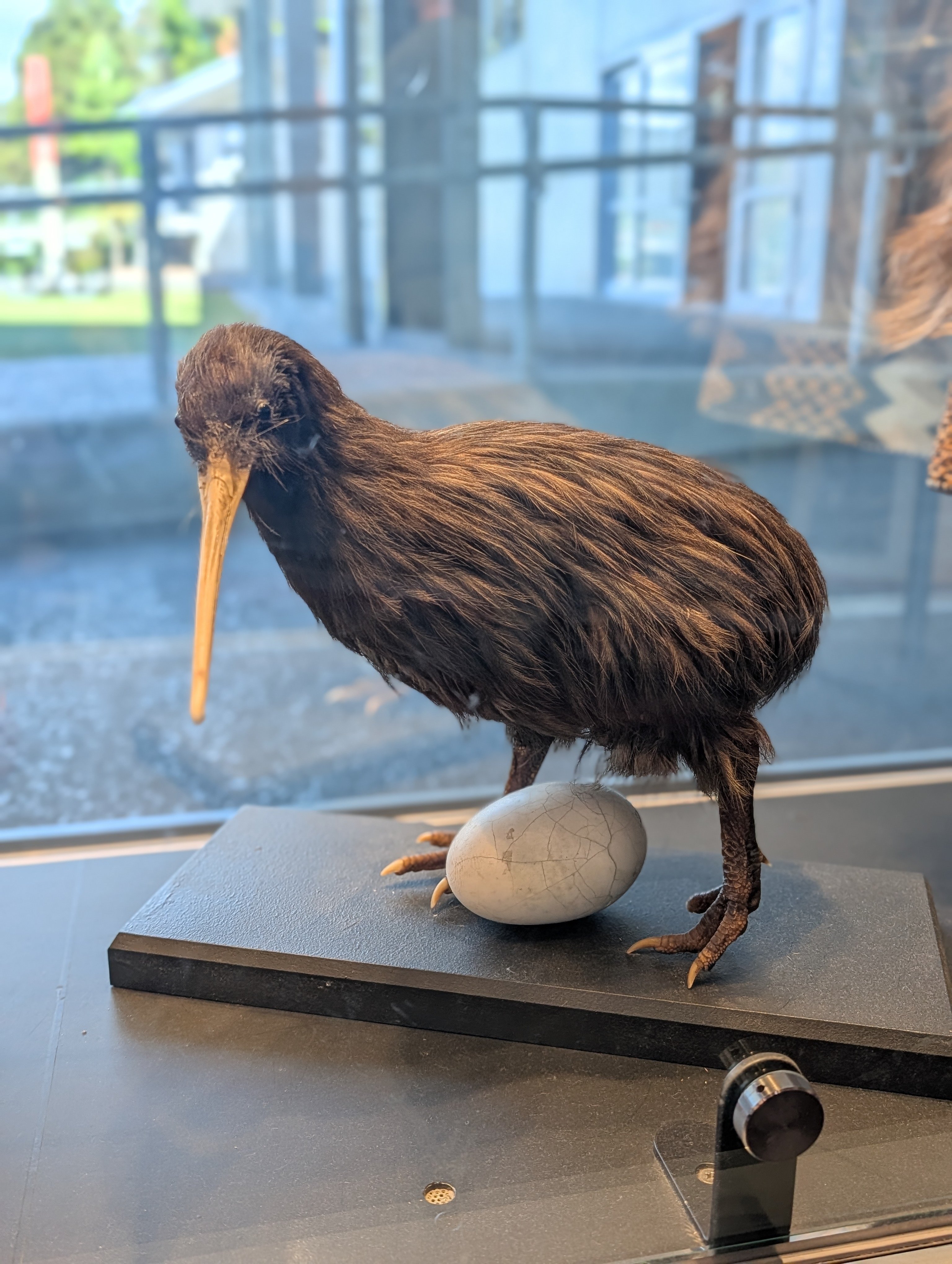 PXL_20260303_035723320.PORTRAIT