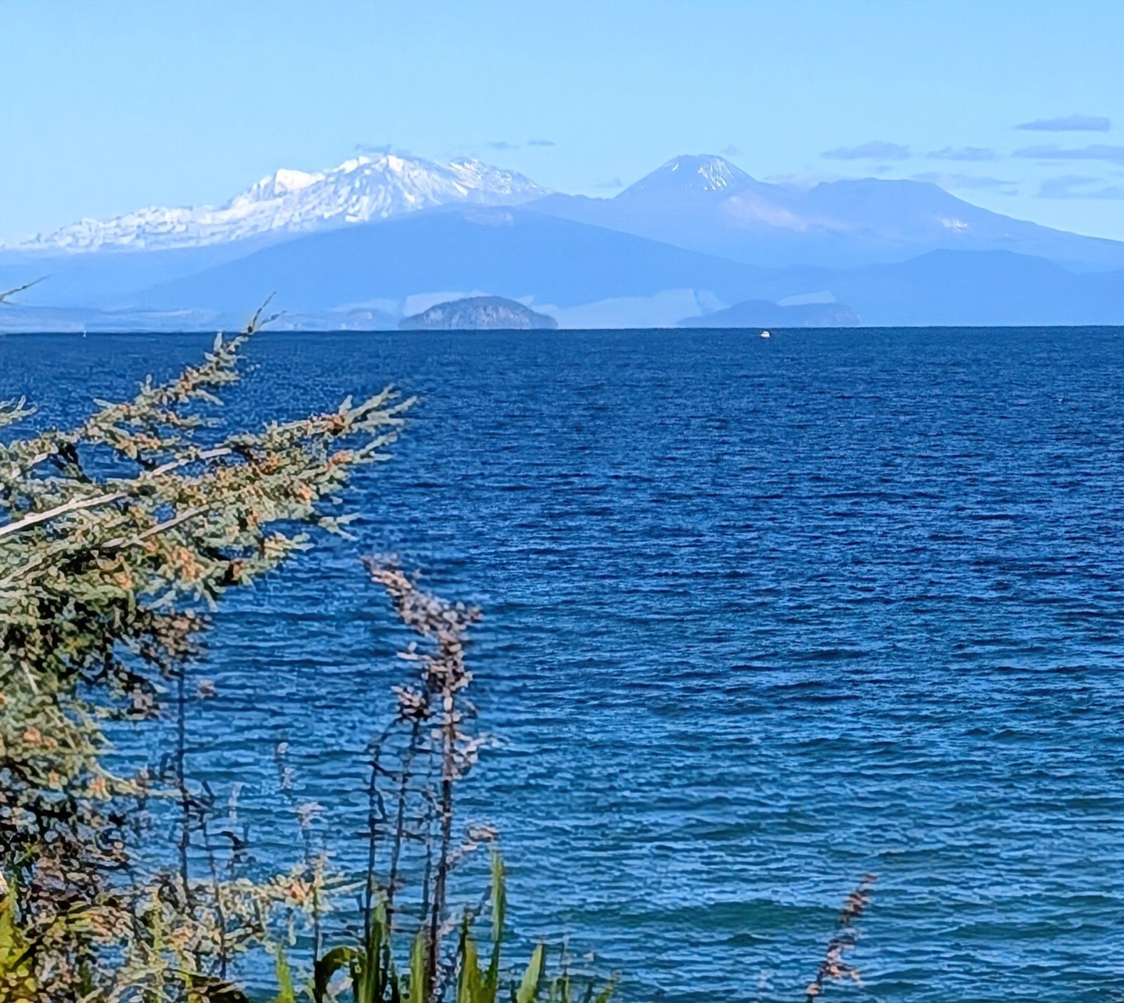 PXL_20260304_001232589~3