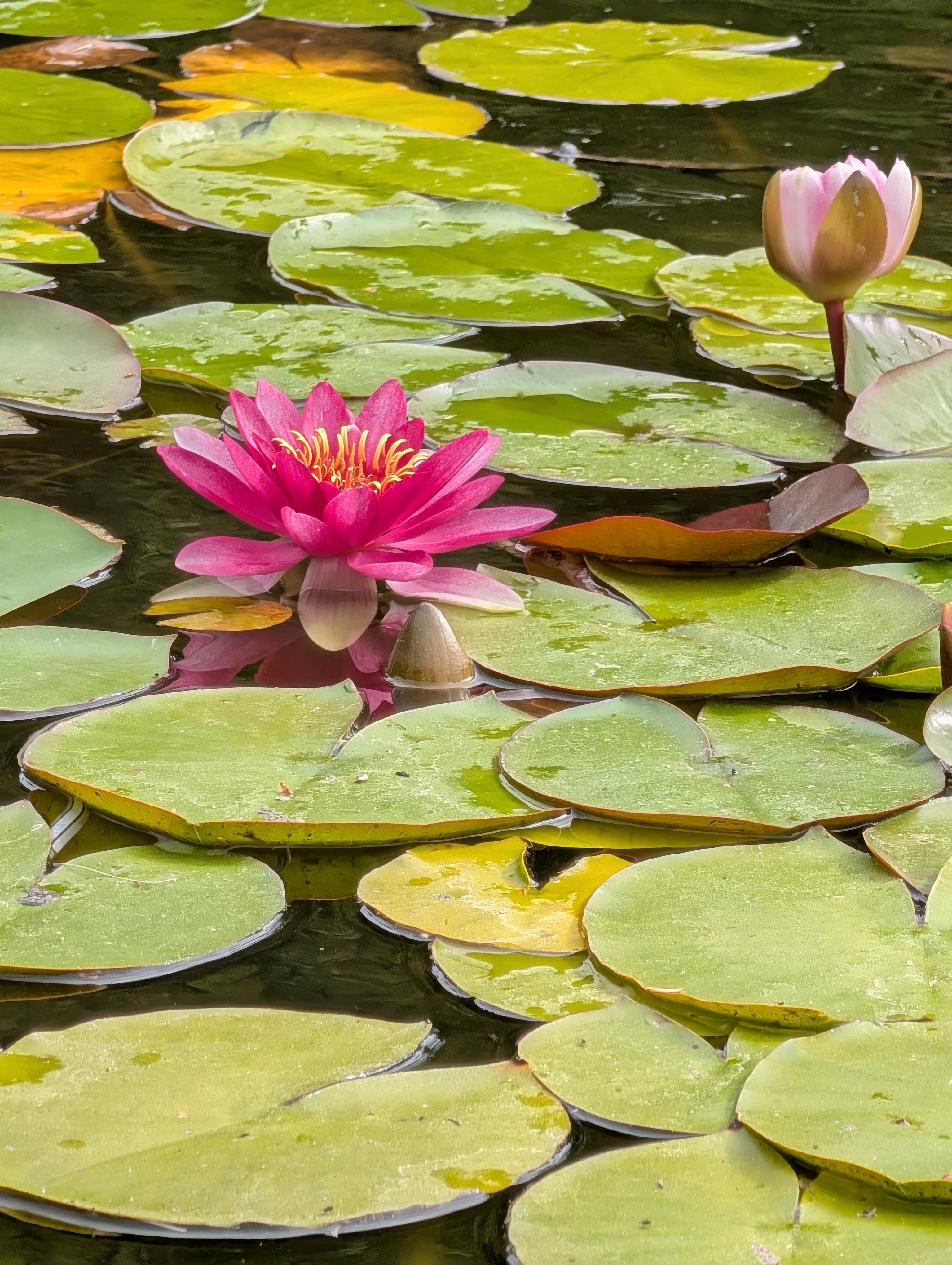 PXL_20260304_032803351