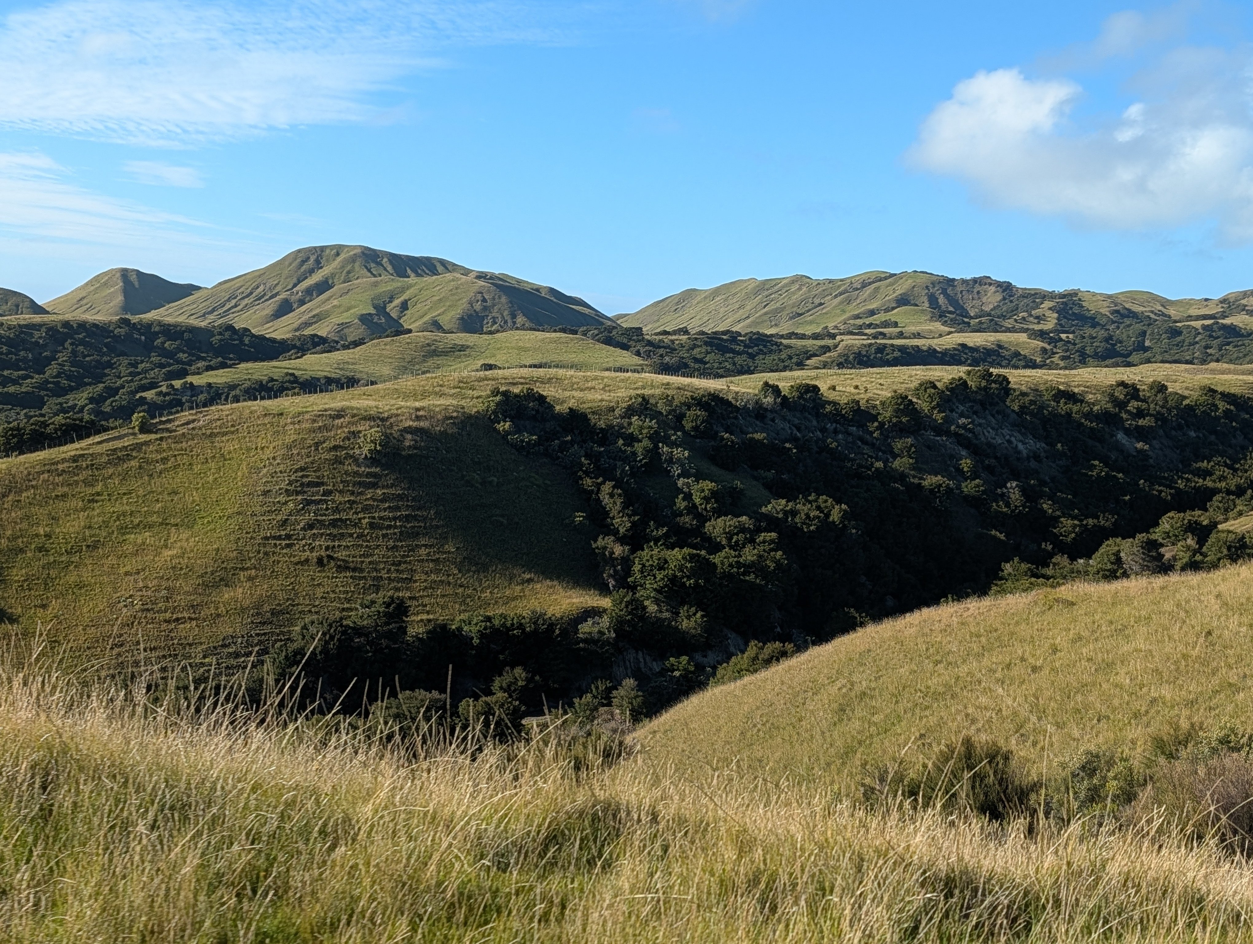 PXL_20260304_200517625.MP