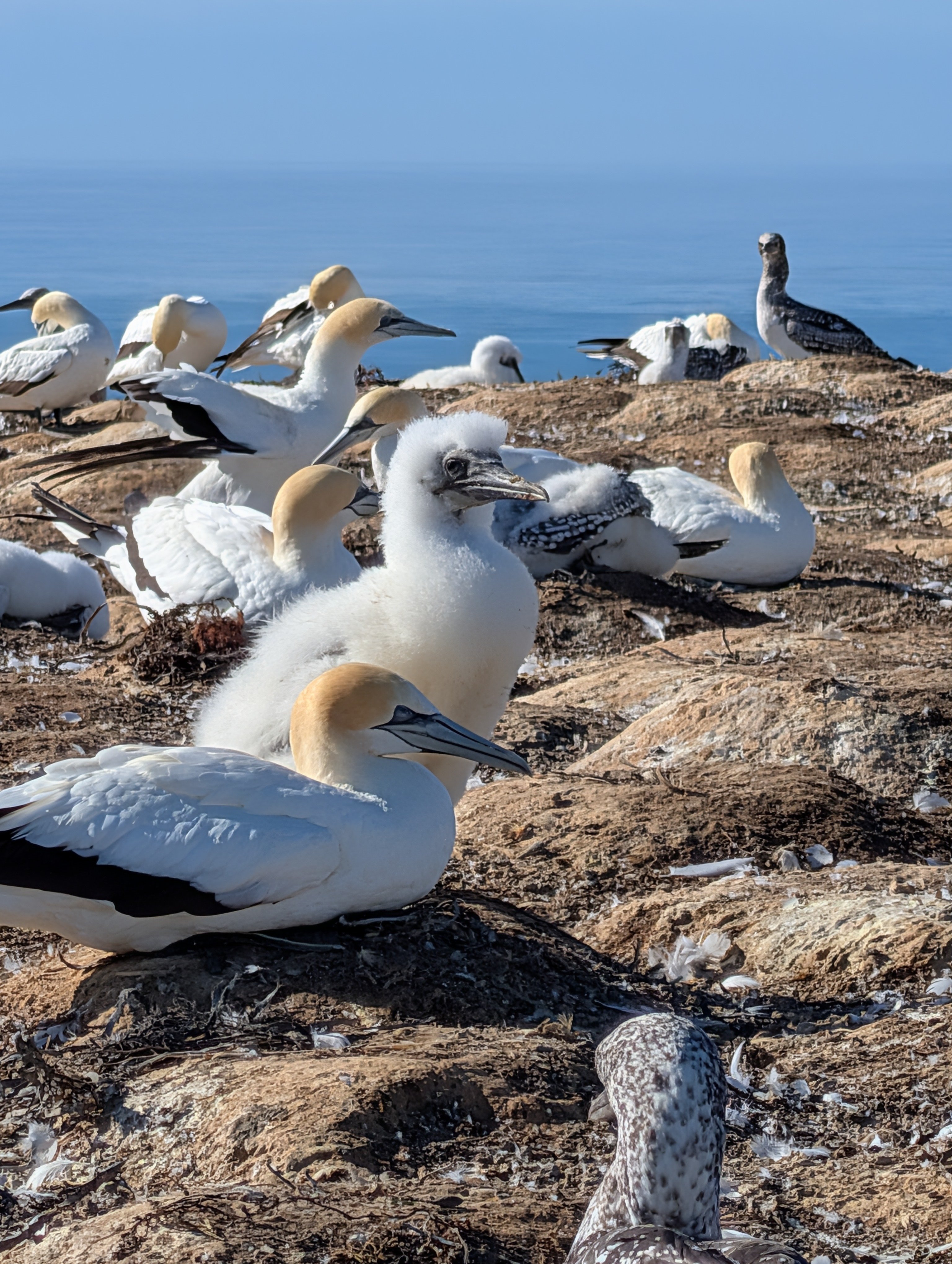 PXL_20260304_204939683