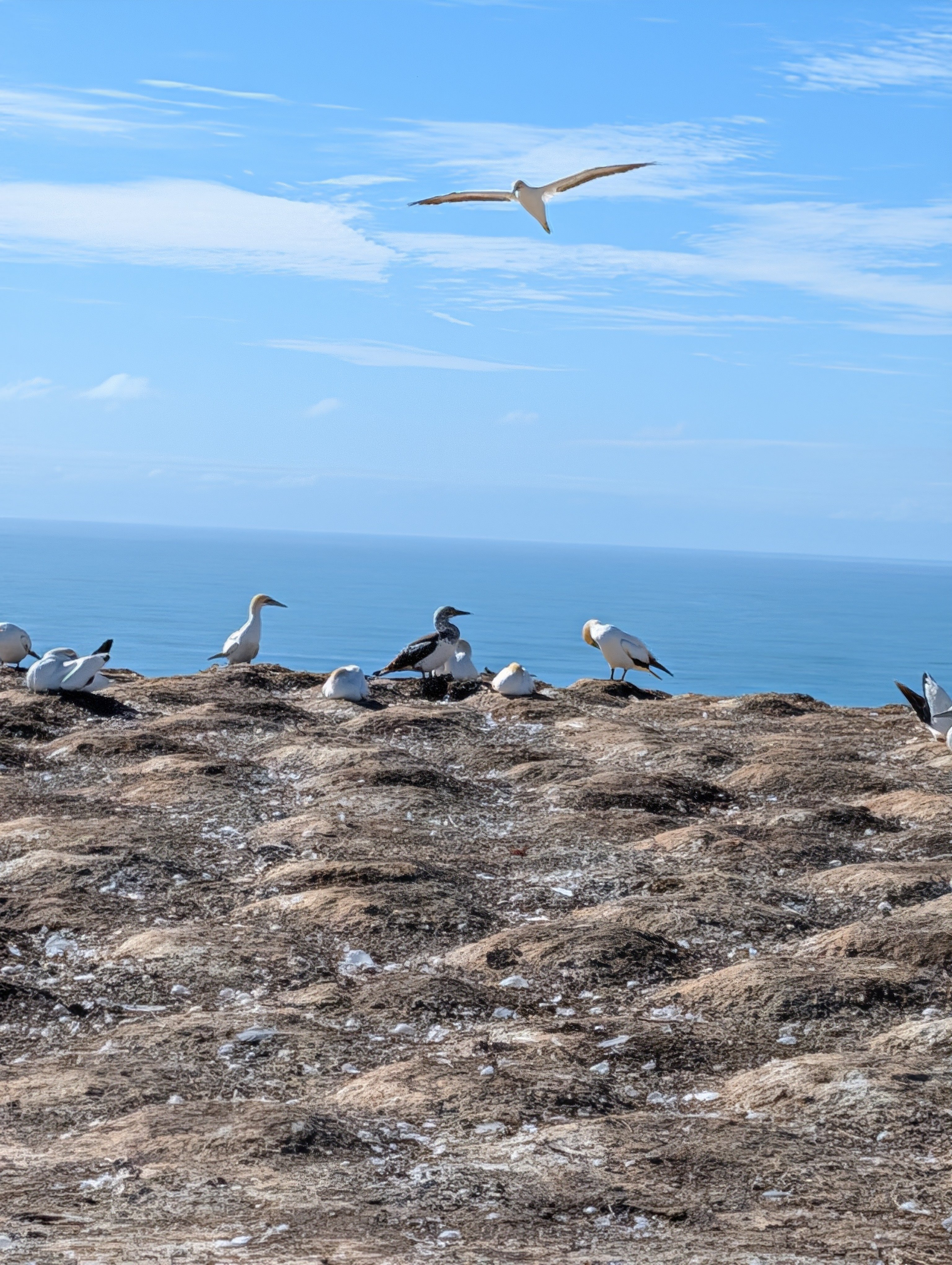 PXL_20260304_210233867