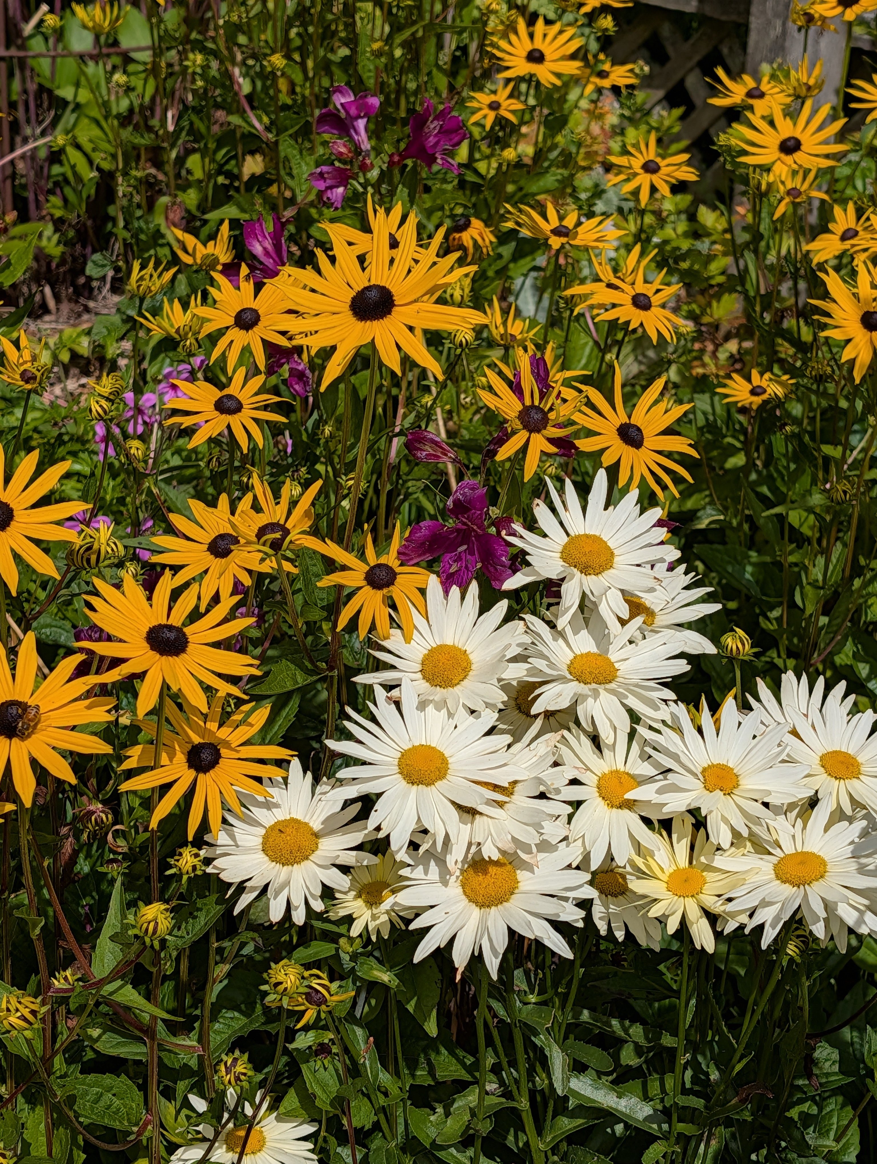 PXL_20260307_000538398.MP