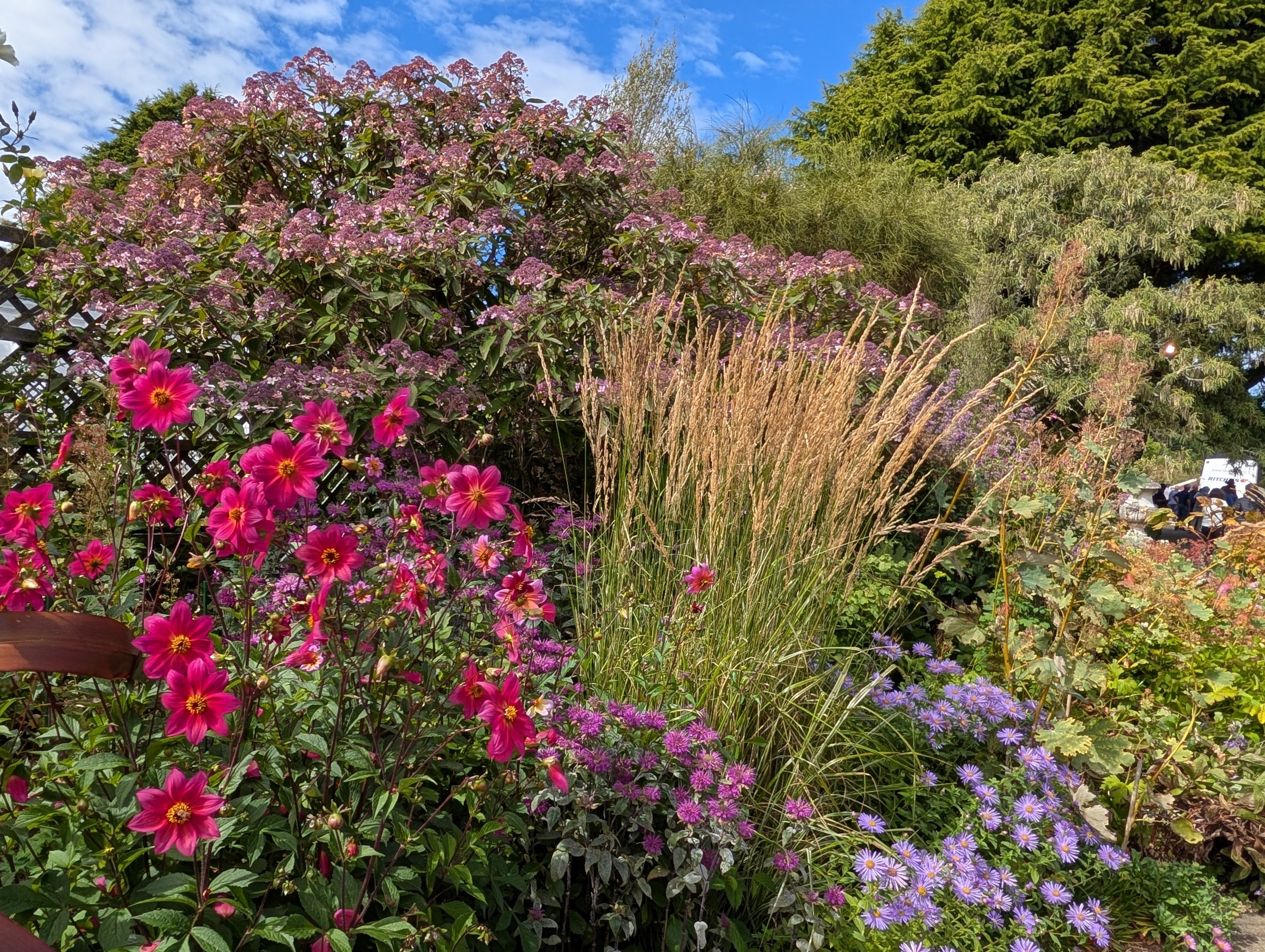 PXL_20260307_001135520.MP