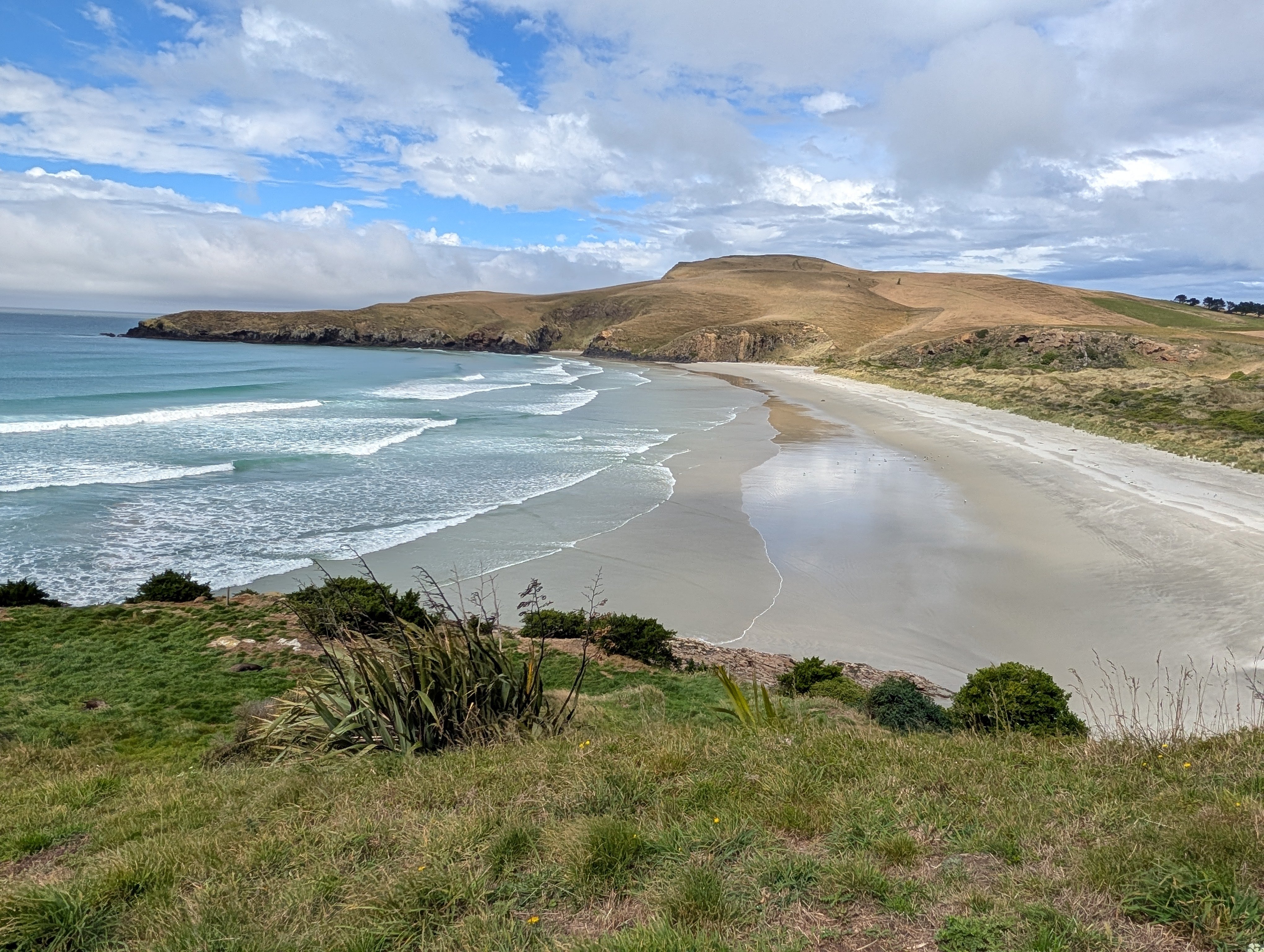 PXL_20260308_005320891