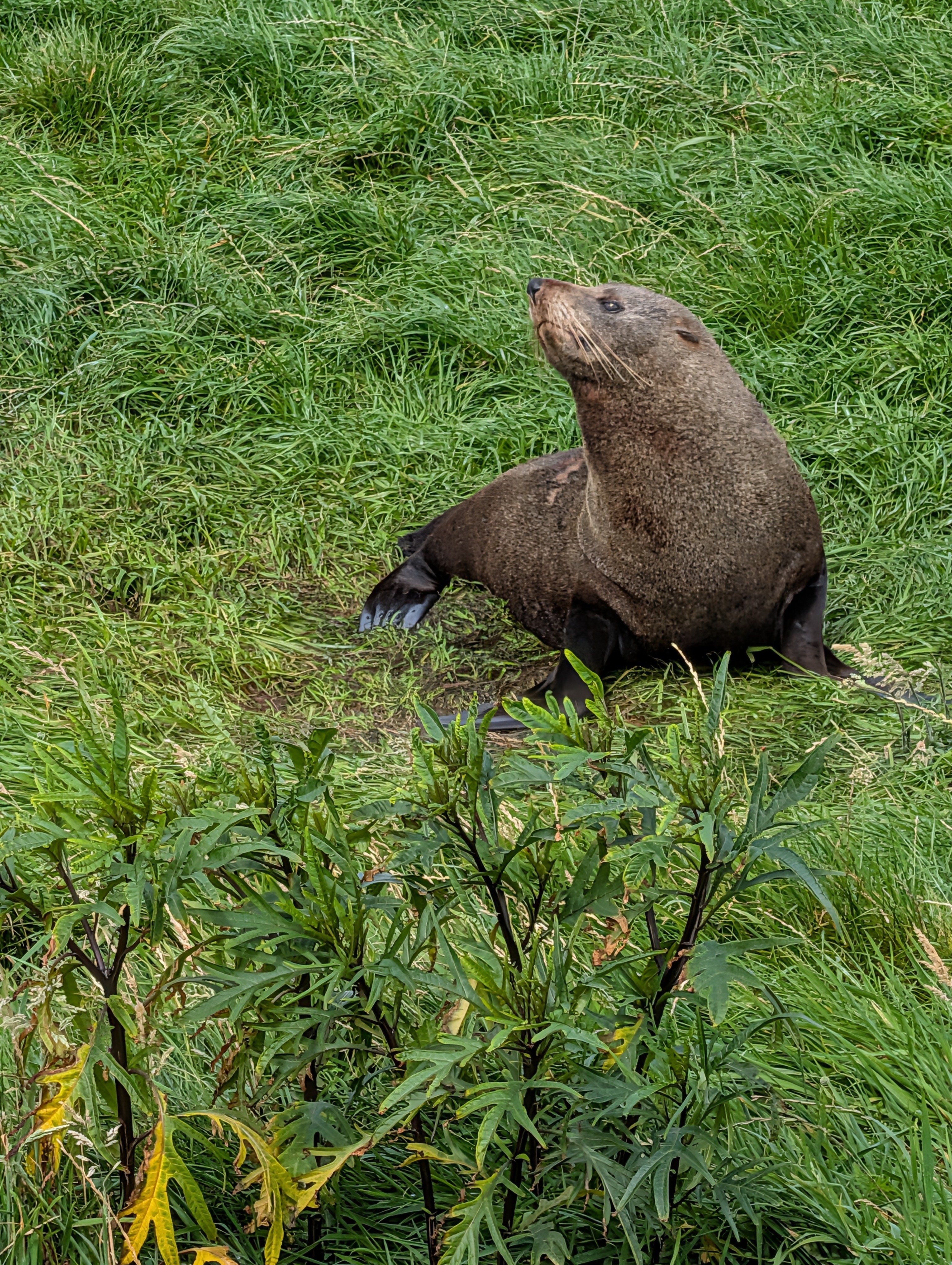 PXL_20260308_005914012