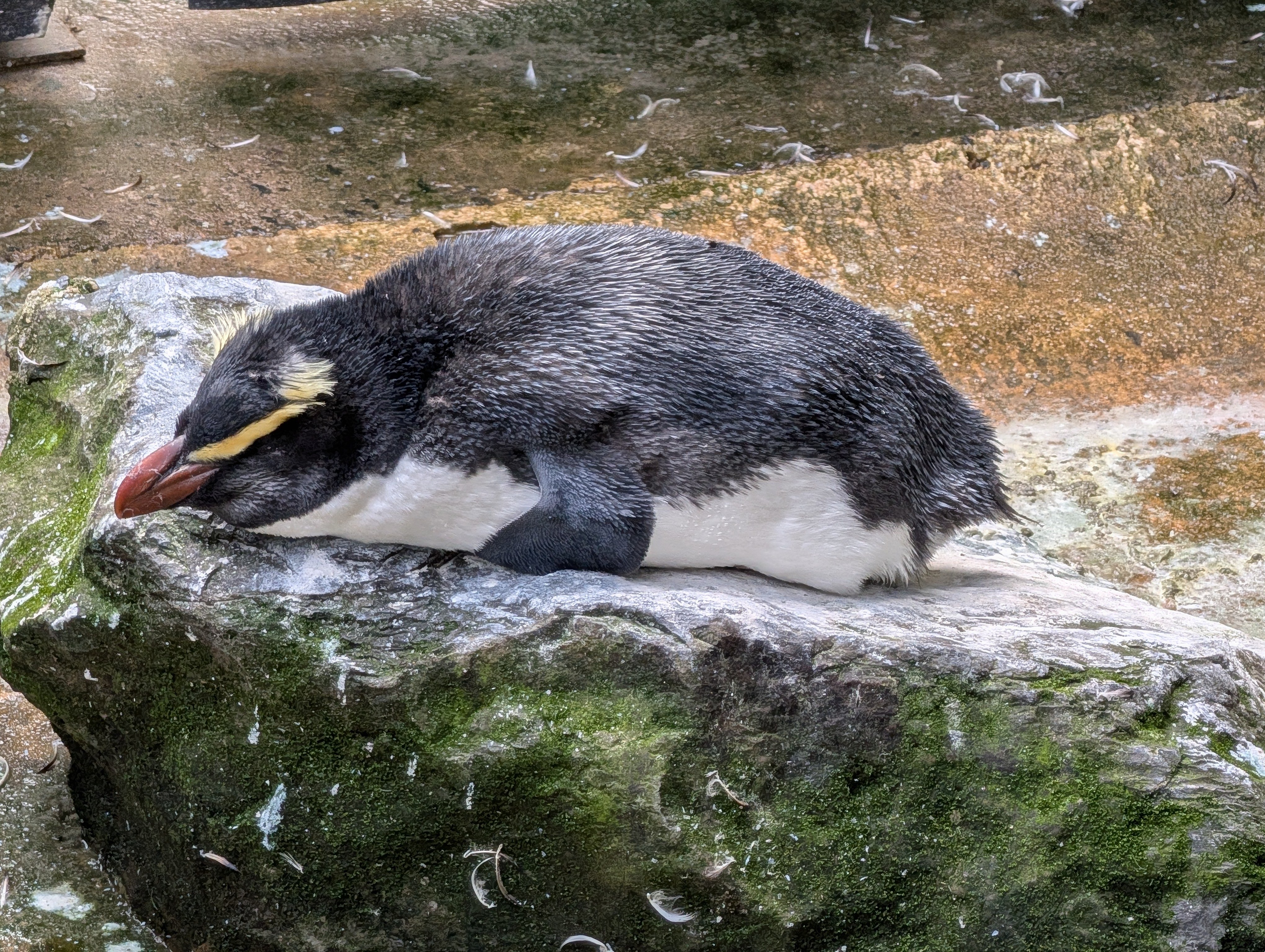 PXL_20260308_013559890 (1)