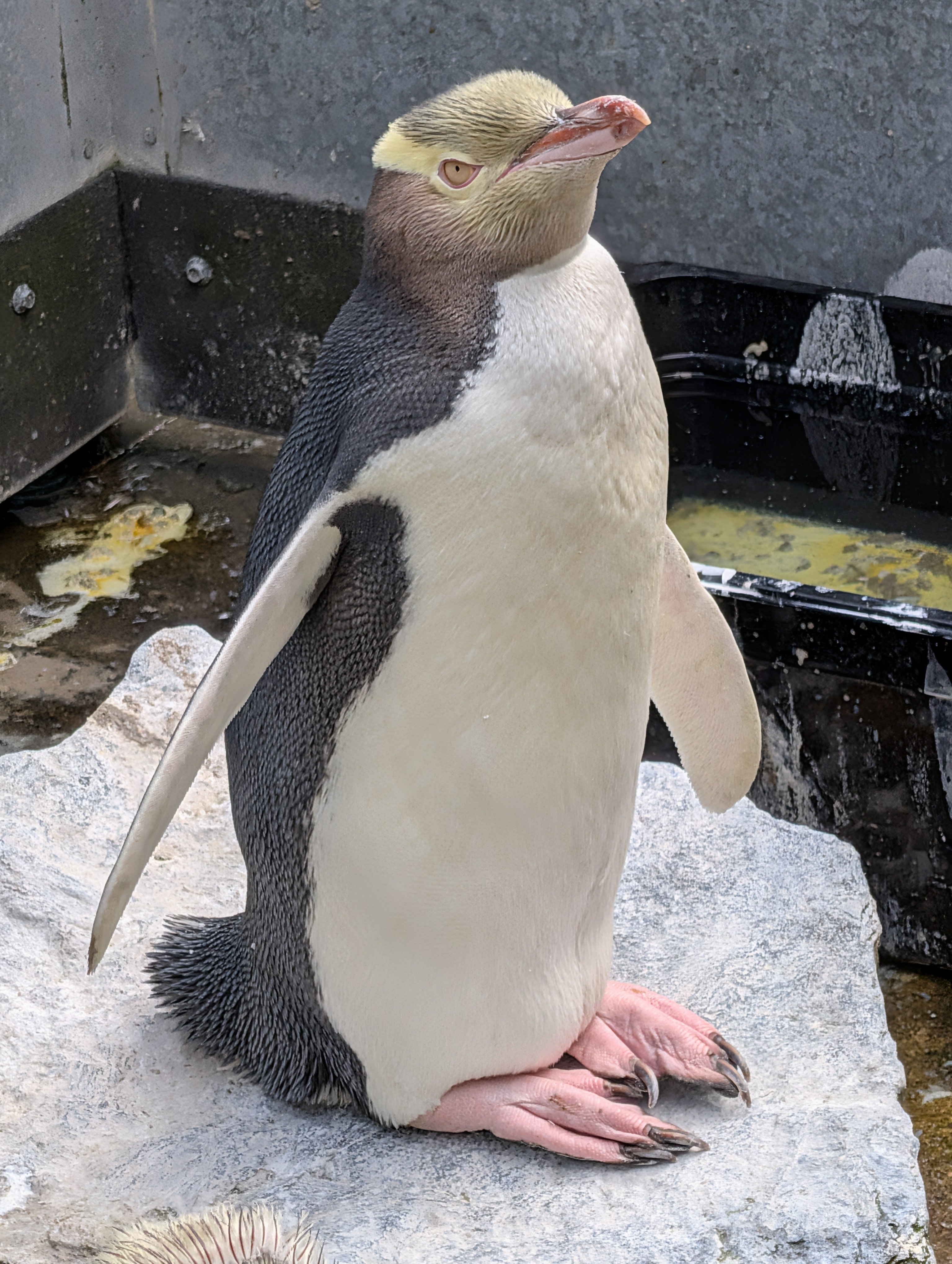 PXL_20260308_013636610 (1)