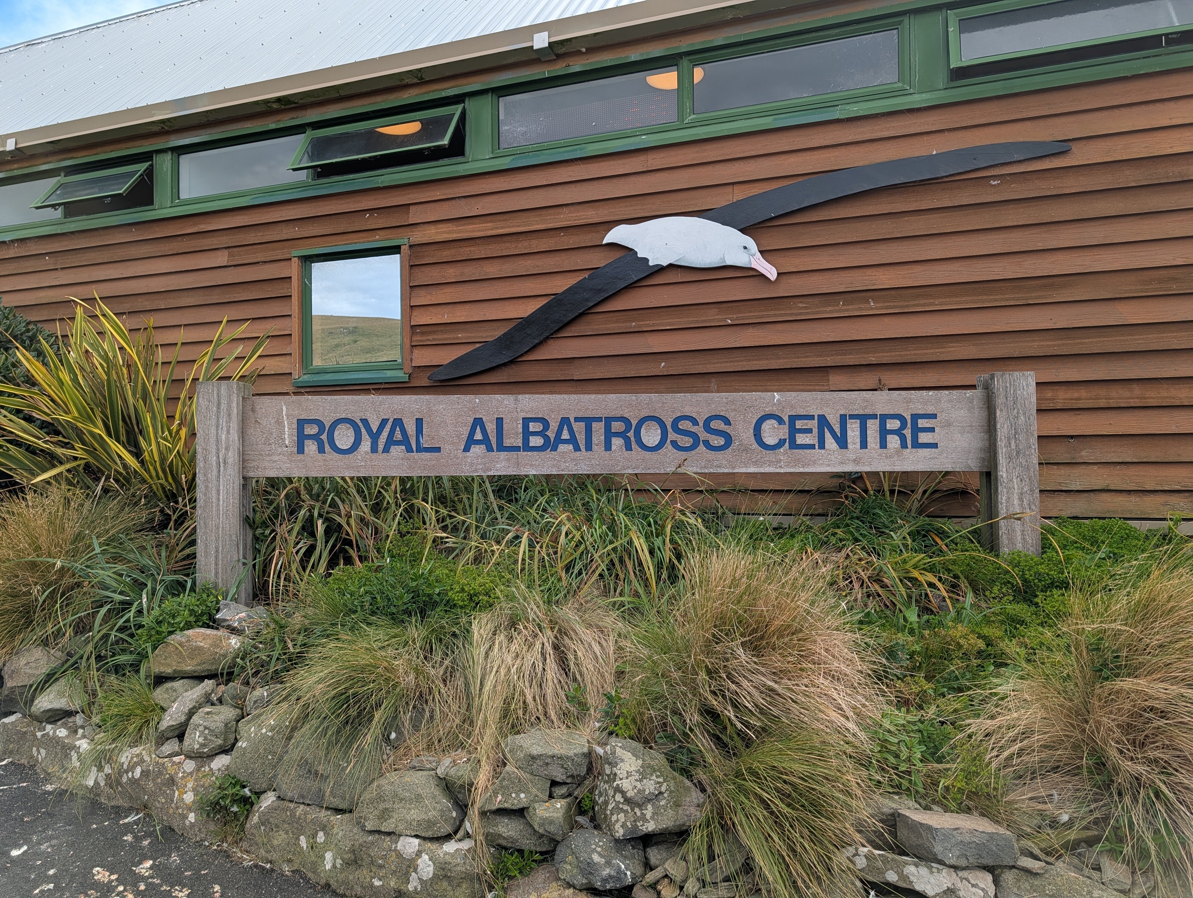 PXL_20260308_015211624.MP