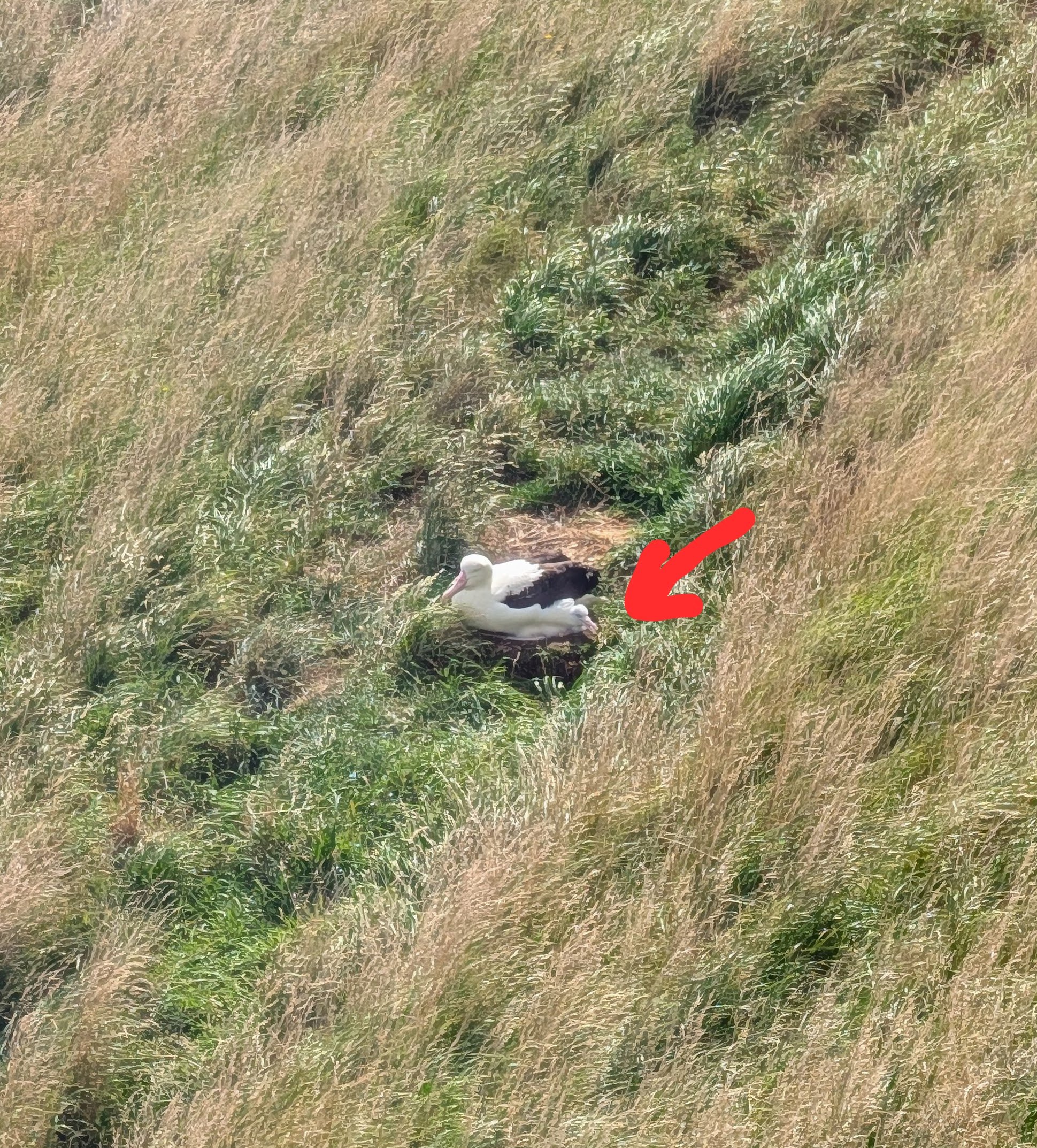 PXL_20260308_021254799-EDIT (1)