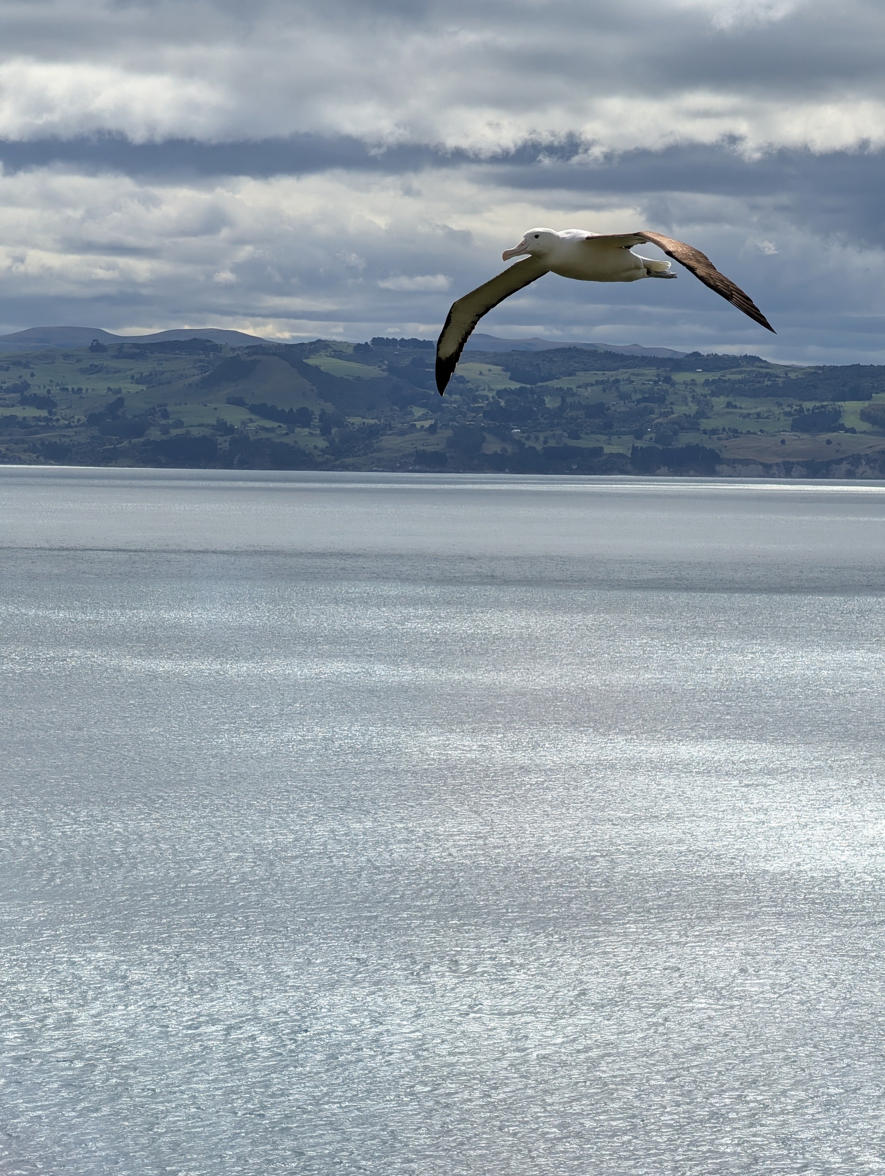 PXL_20260308_022204472