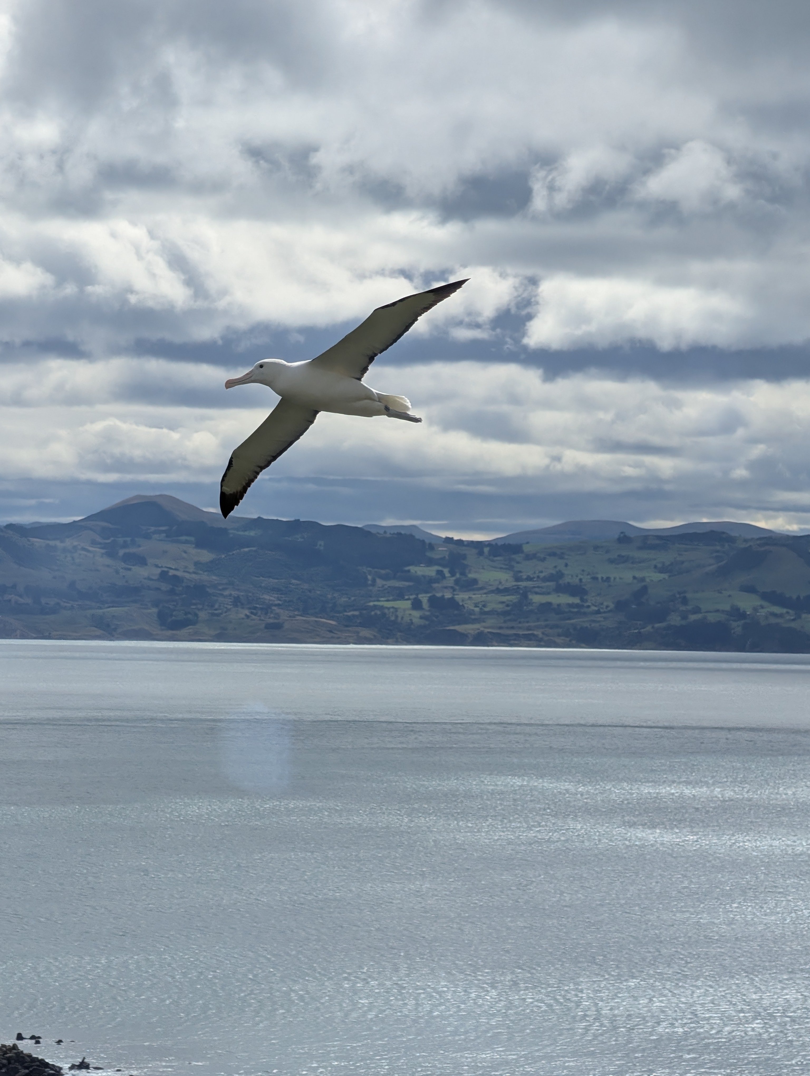 PXL_20260308_022206073