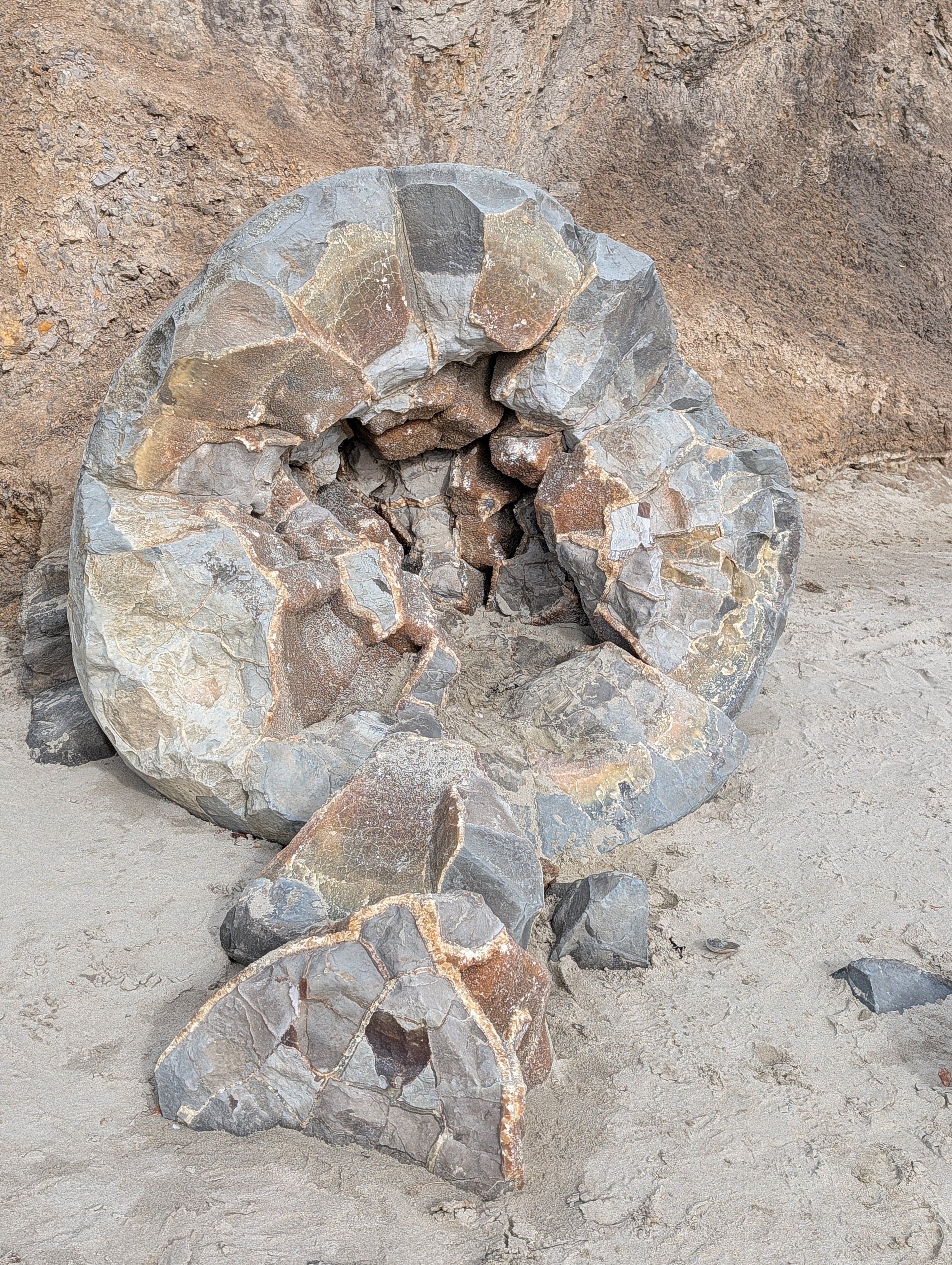 PXL_20260308_205739706.NIGHT