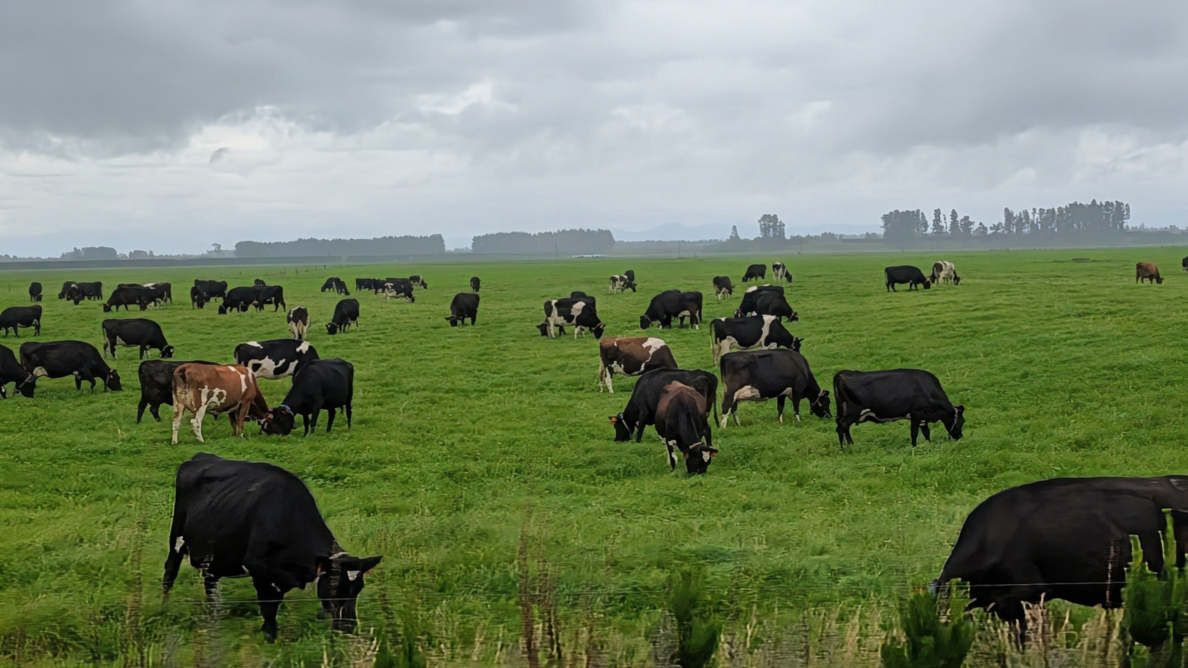 PXL_20260309_031554507.MP~3