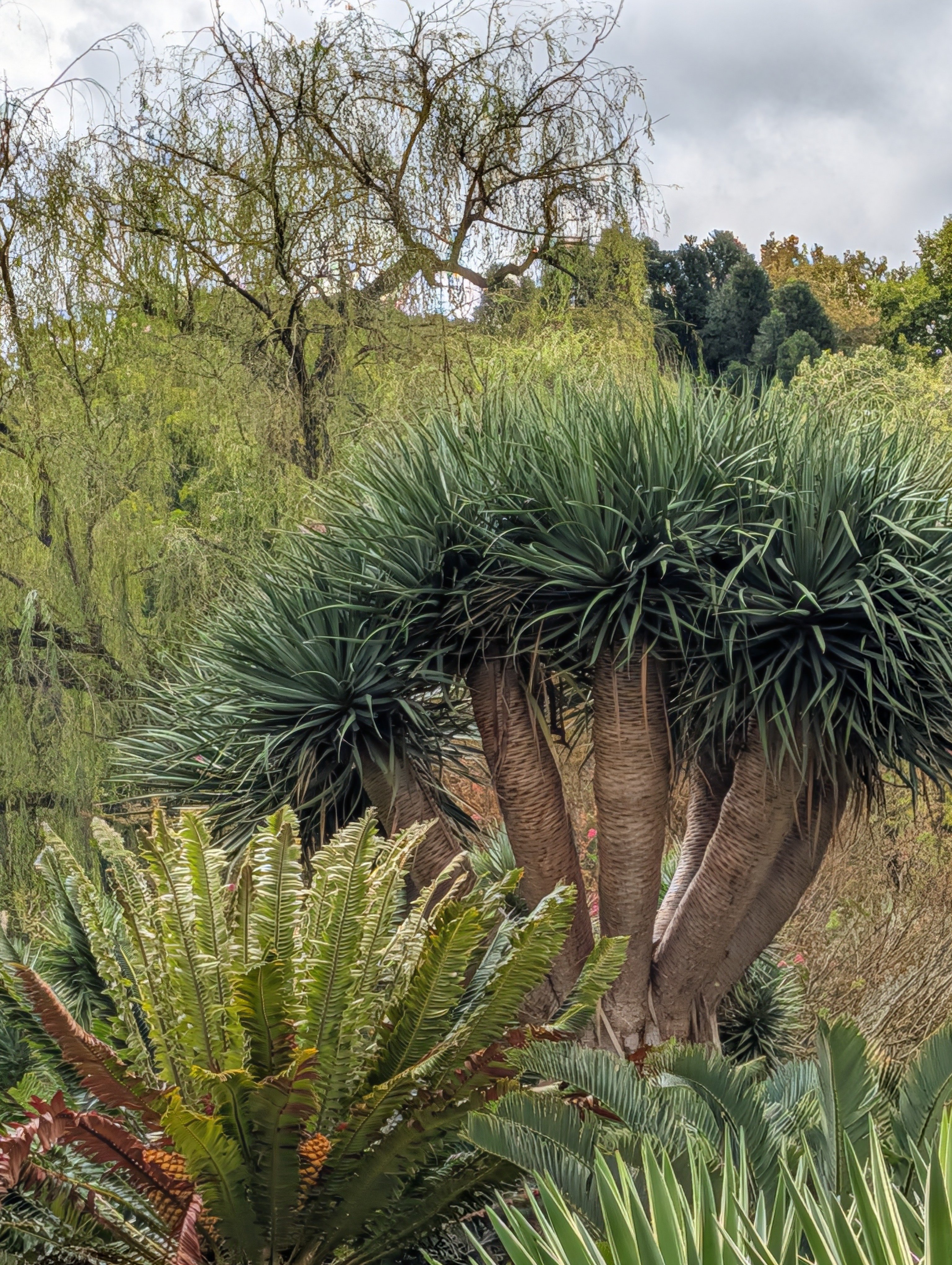 PXL_20260318_044505321