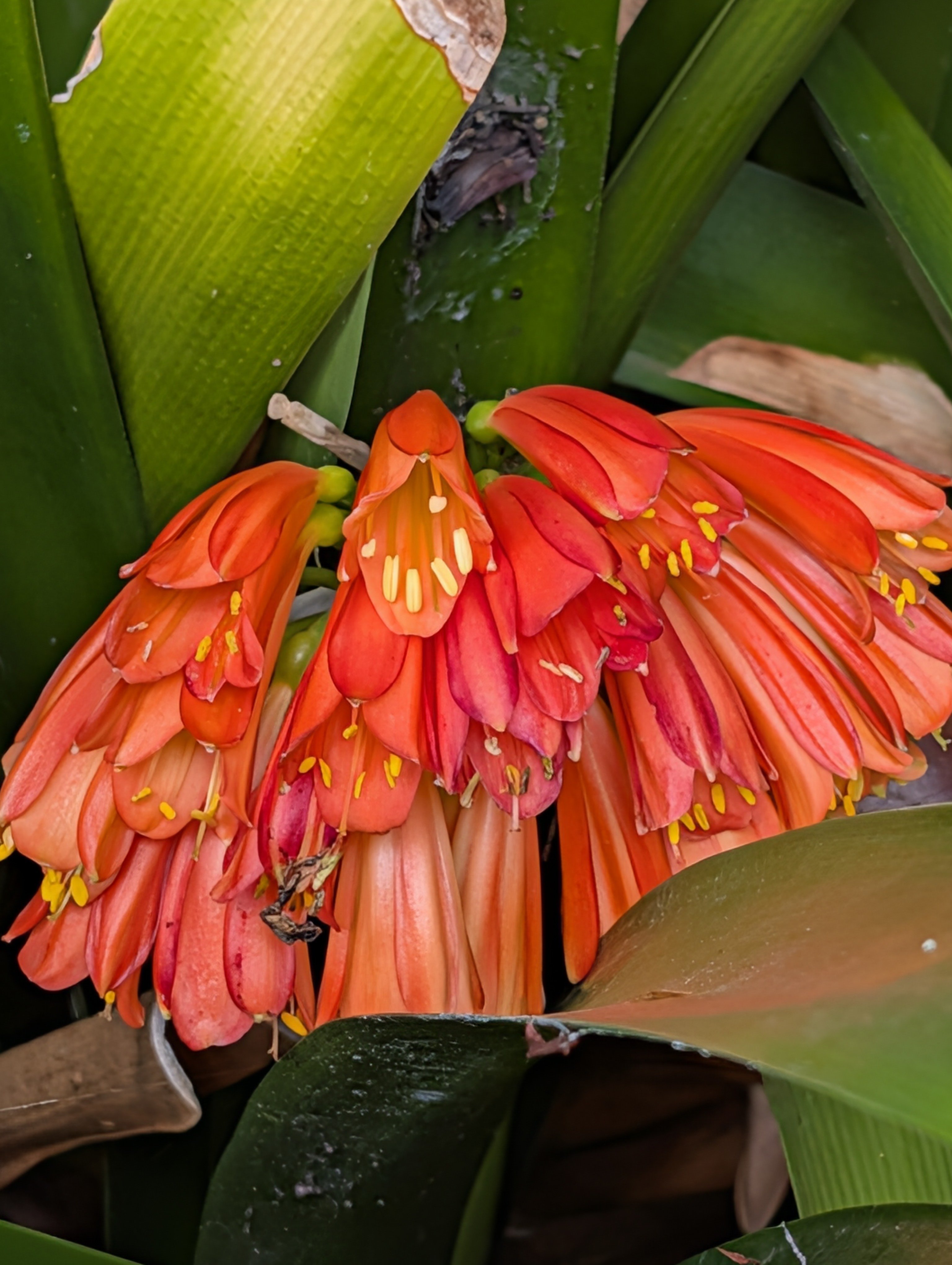 PXL_20260318_052808839