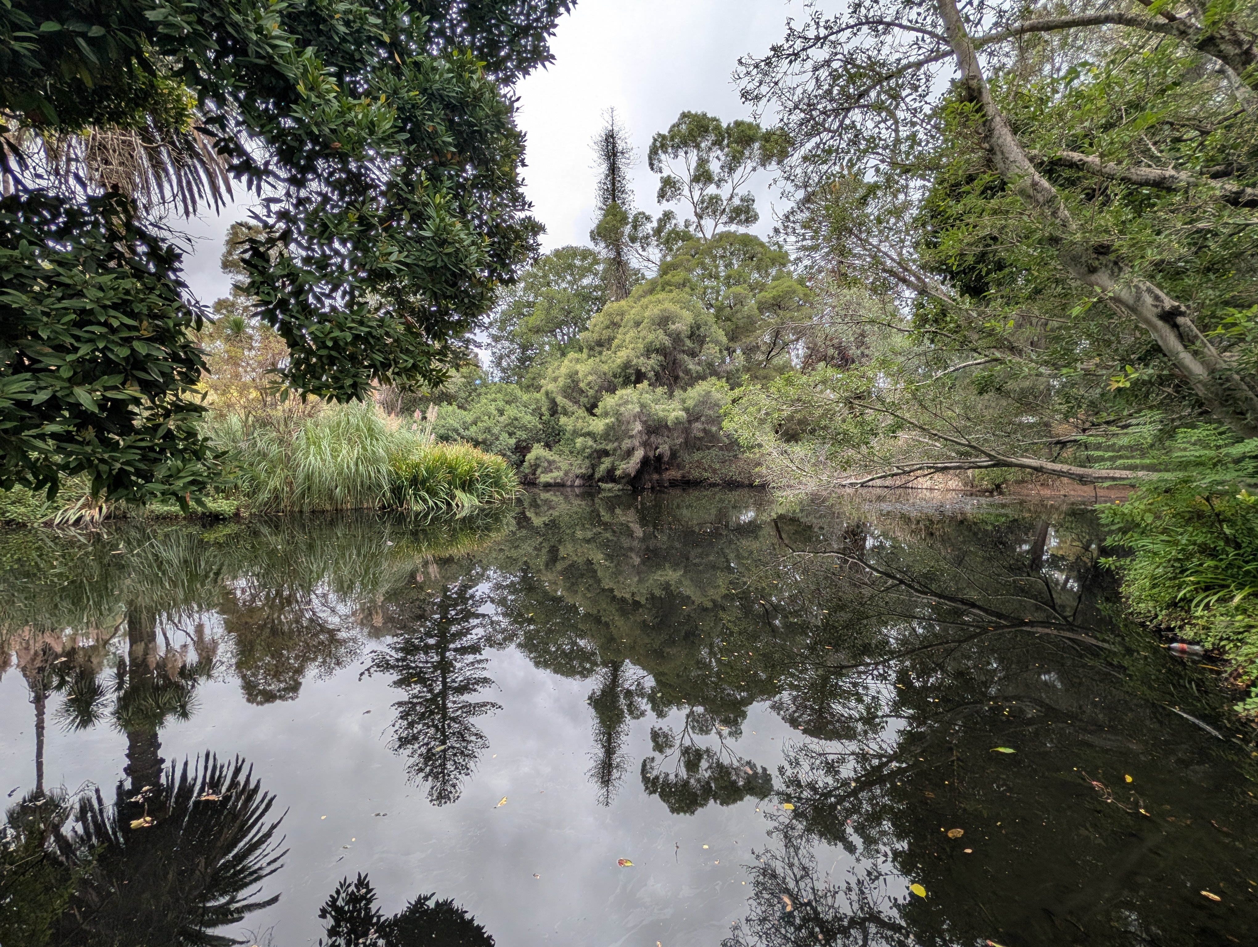 PXL_20260318_053000087