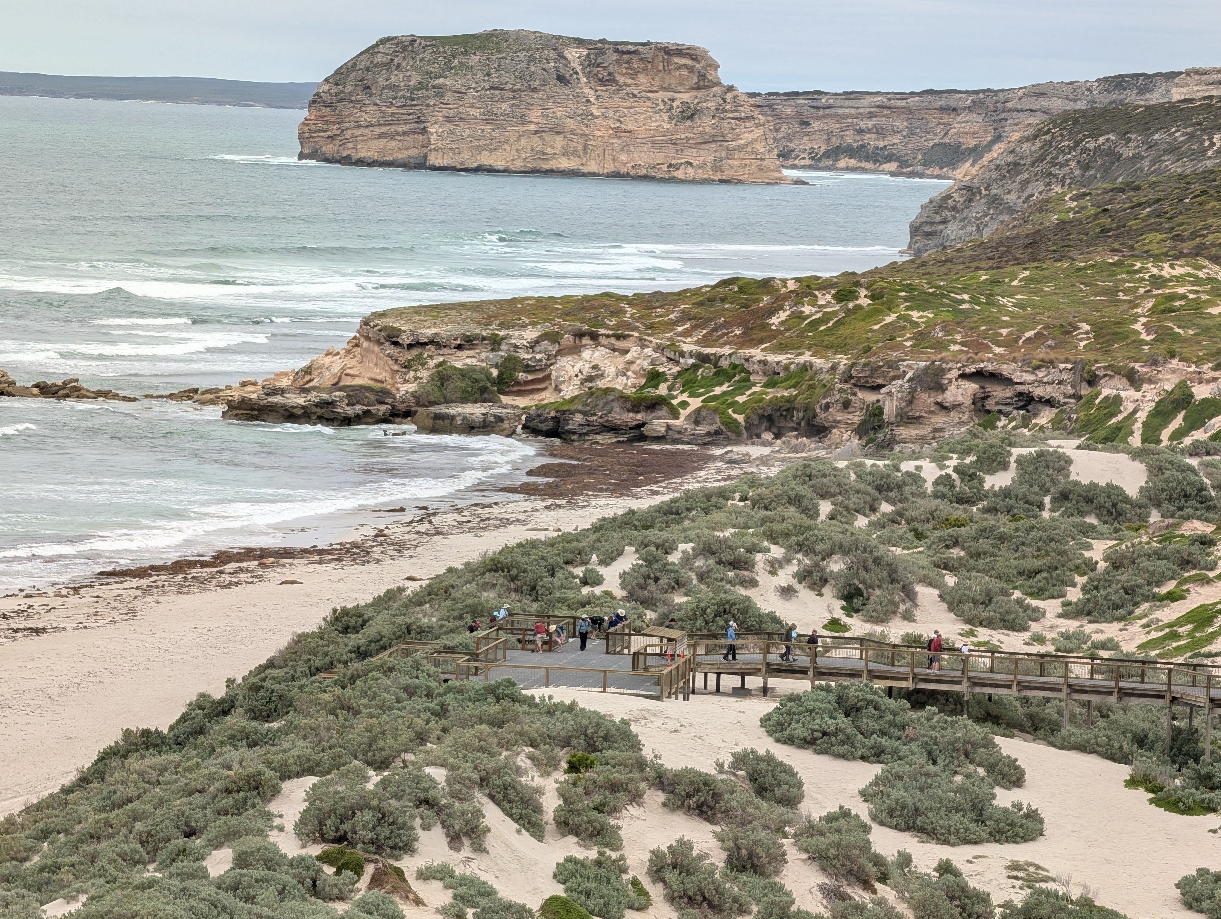 PXL_20260319_020940382