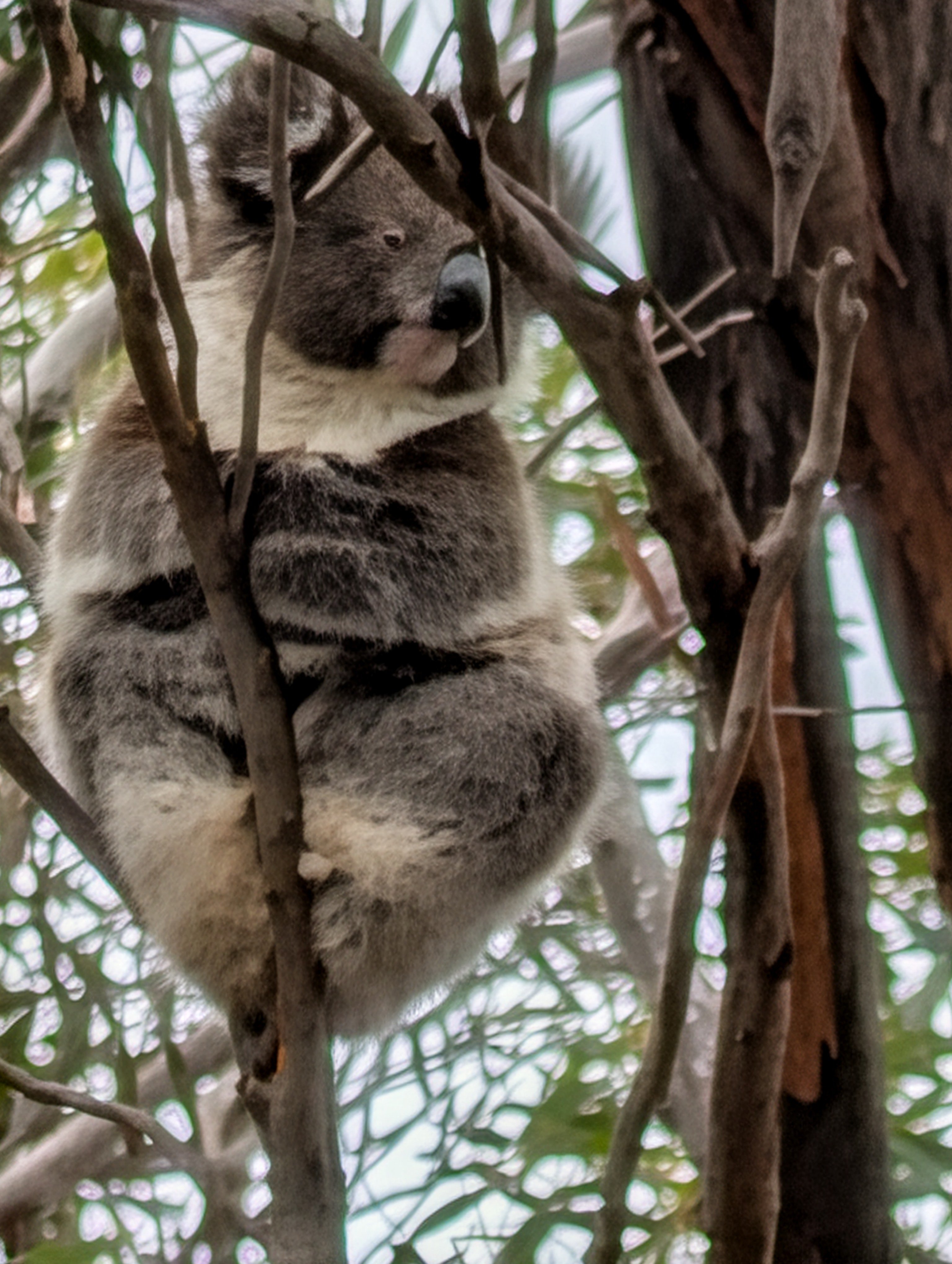 PXL_20260319_024527094.BURST-01