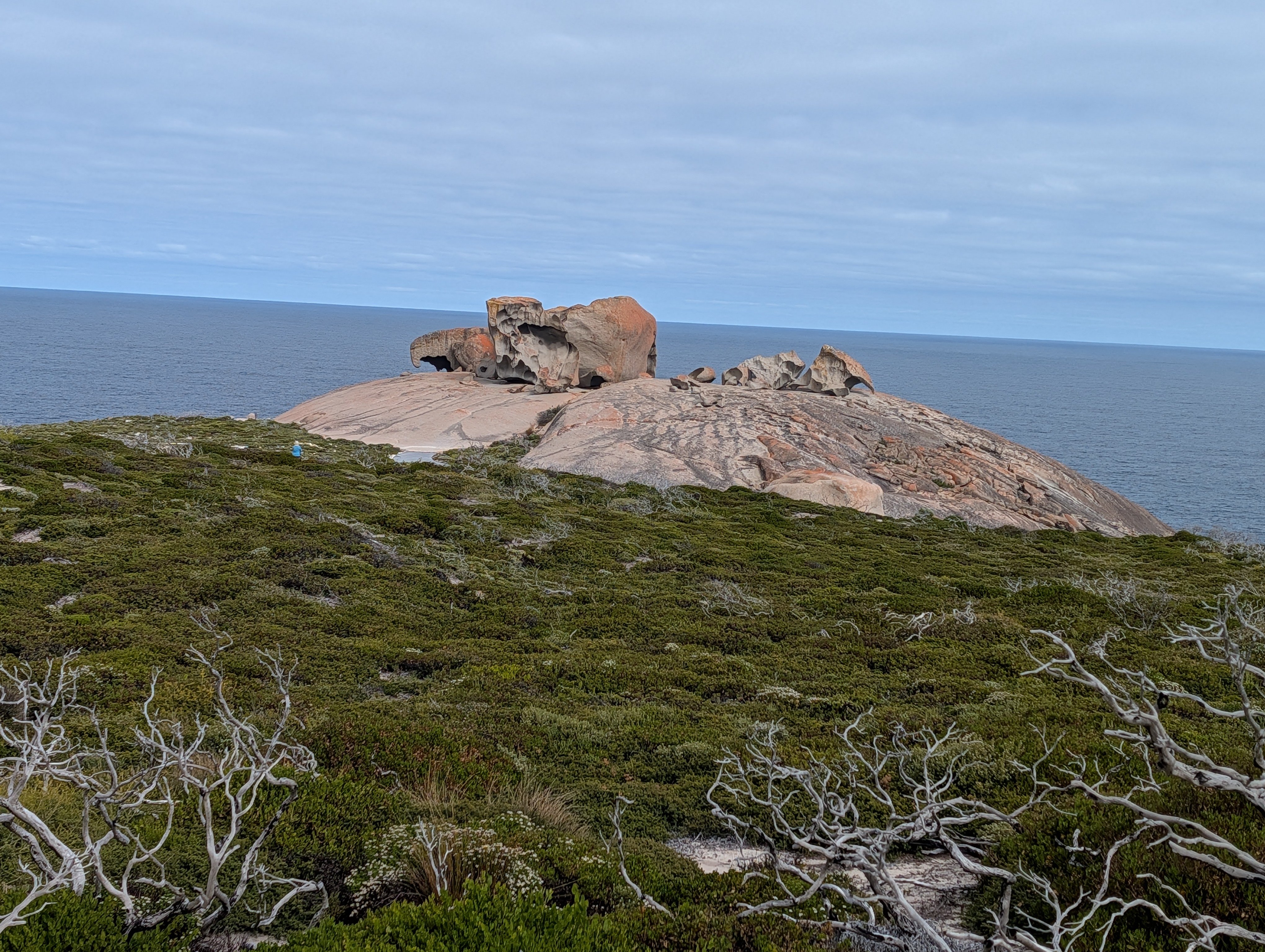 PXL_20260319_045606787