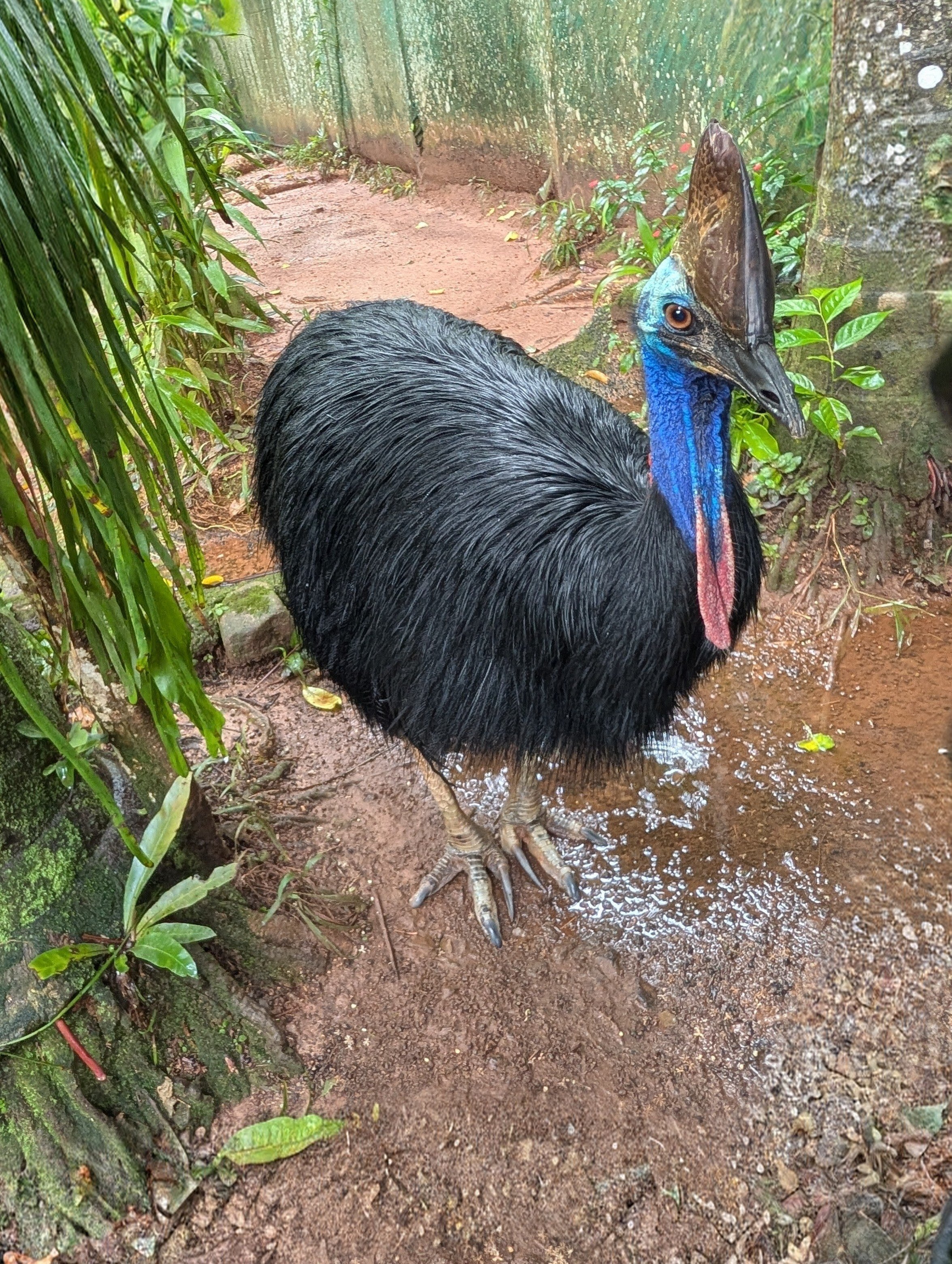 PXL_20260322_020822285~2