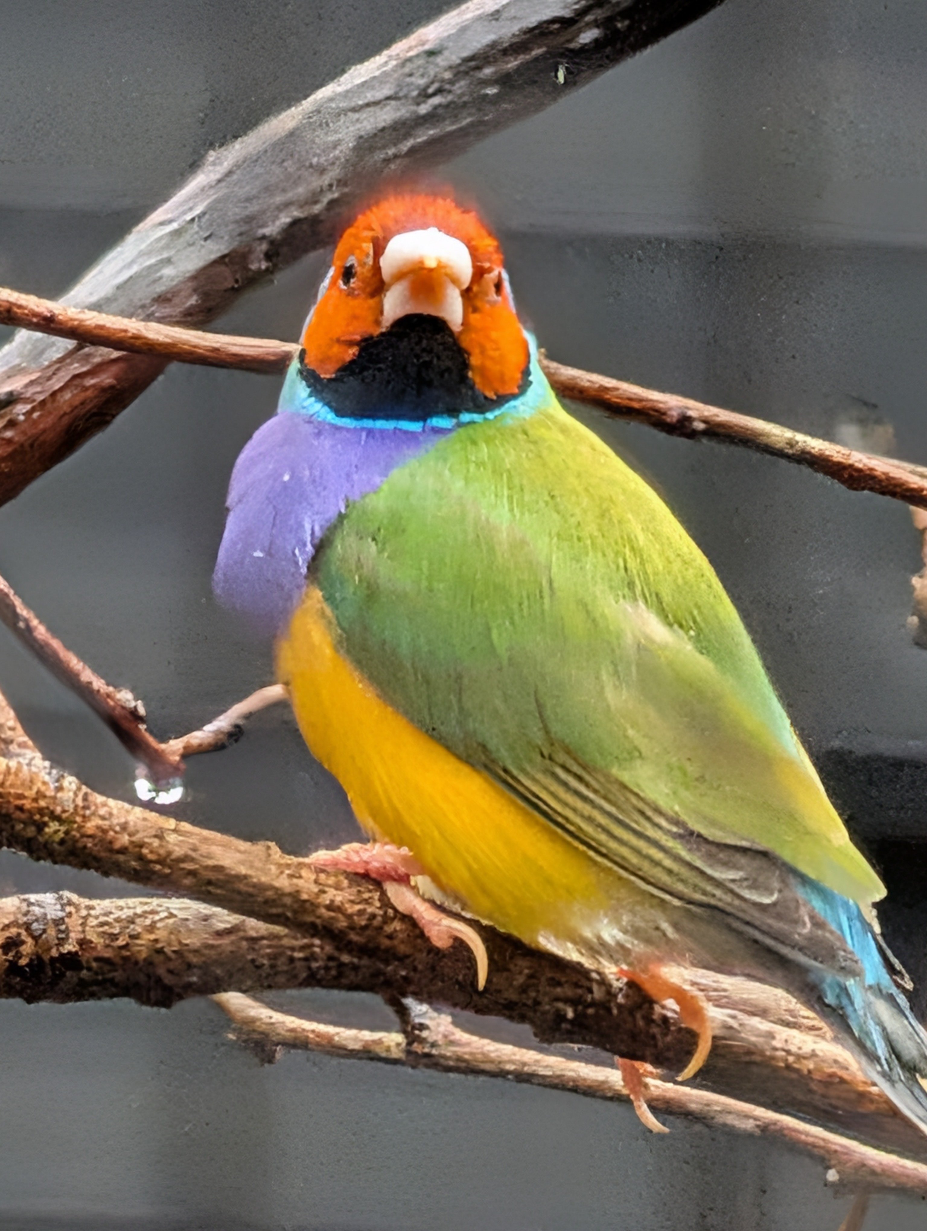 PXL_20260322_032334200