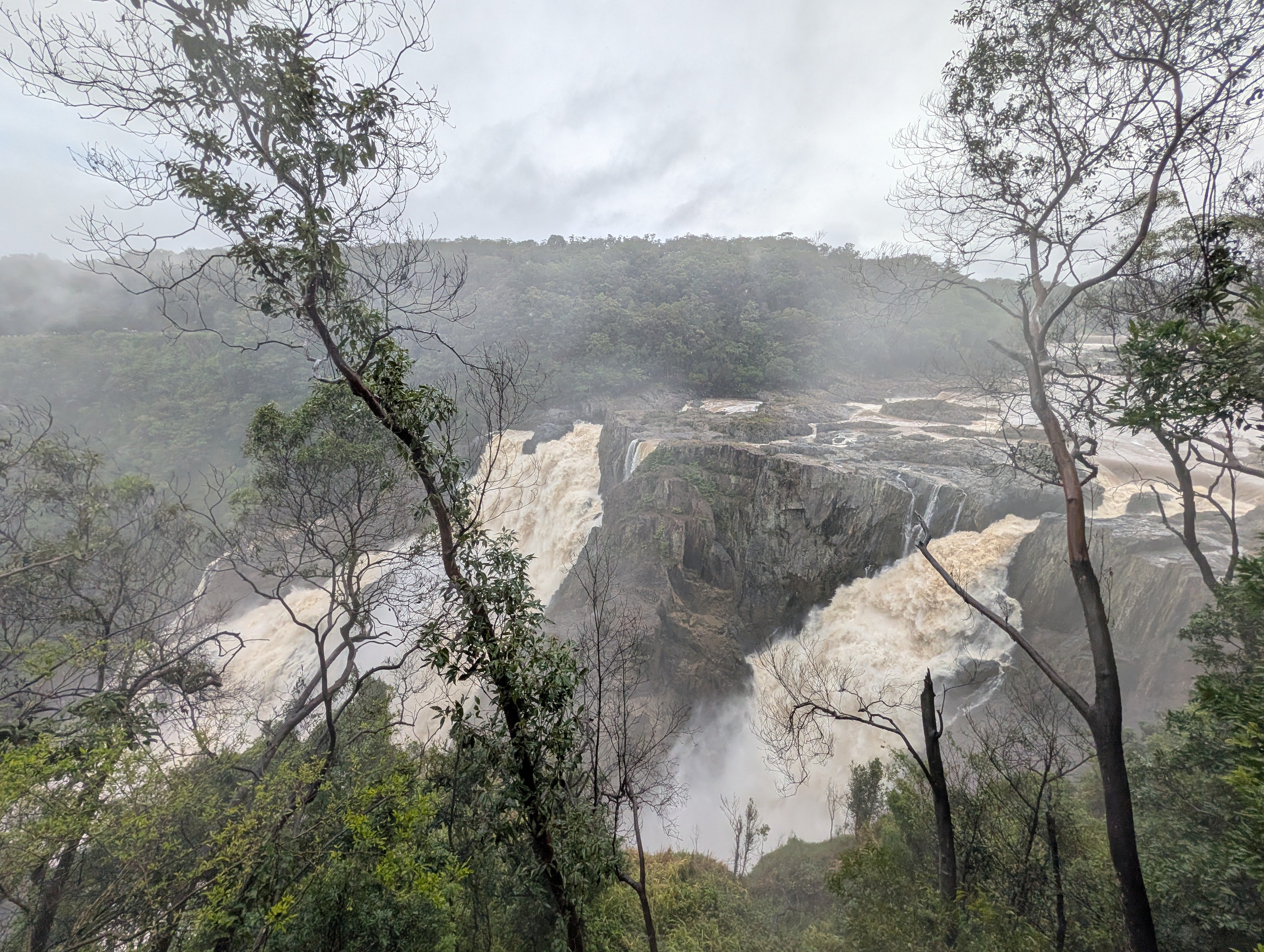 PXL_20260322_051606175