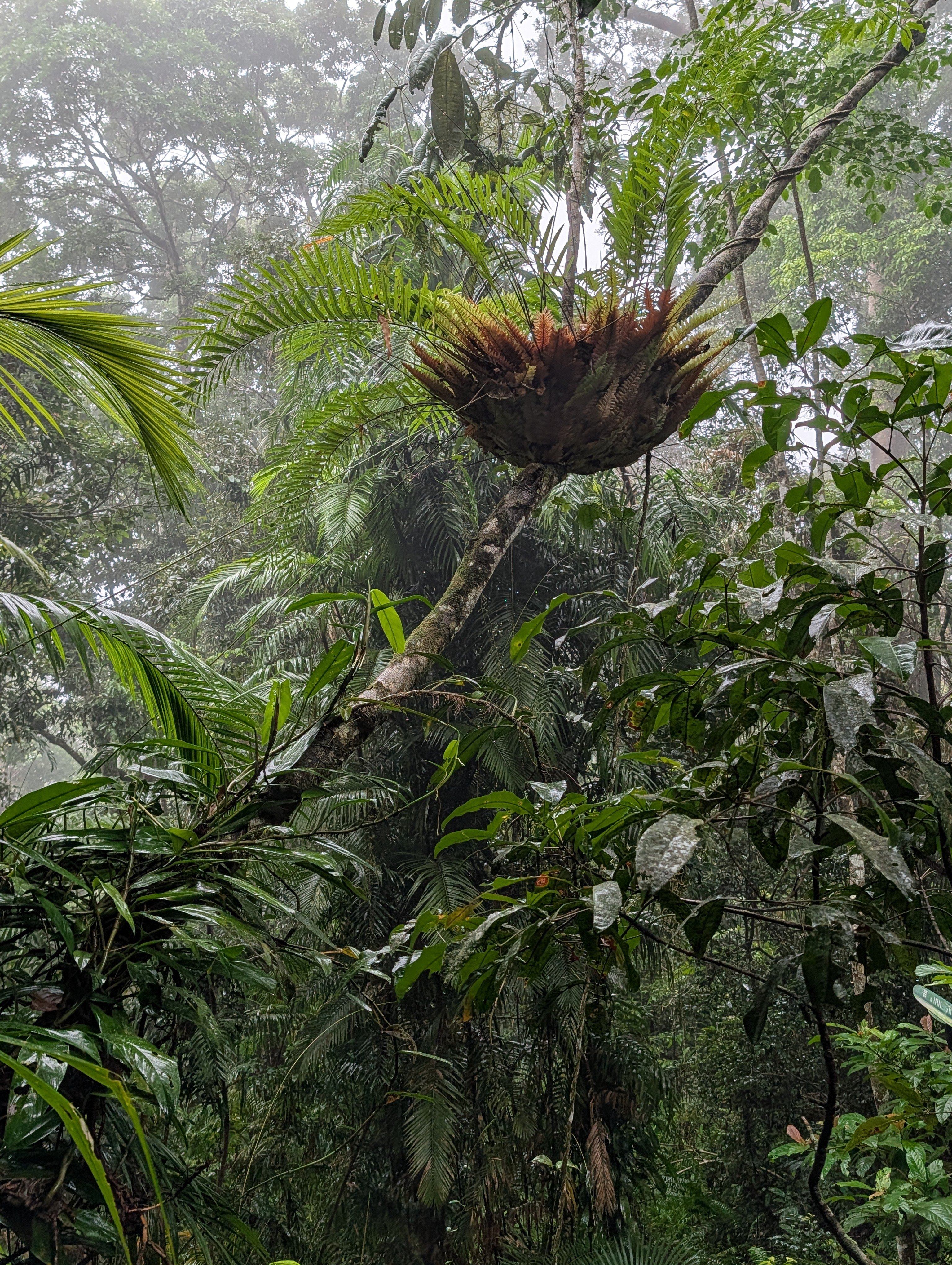 PXL_20260322_054621698