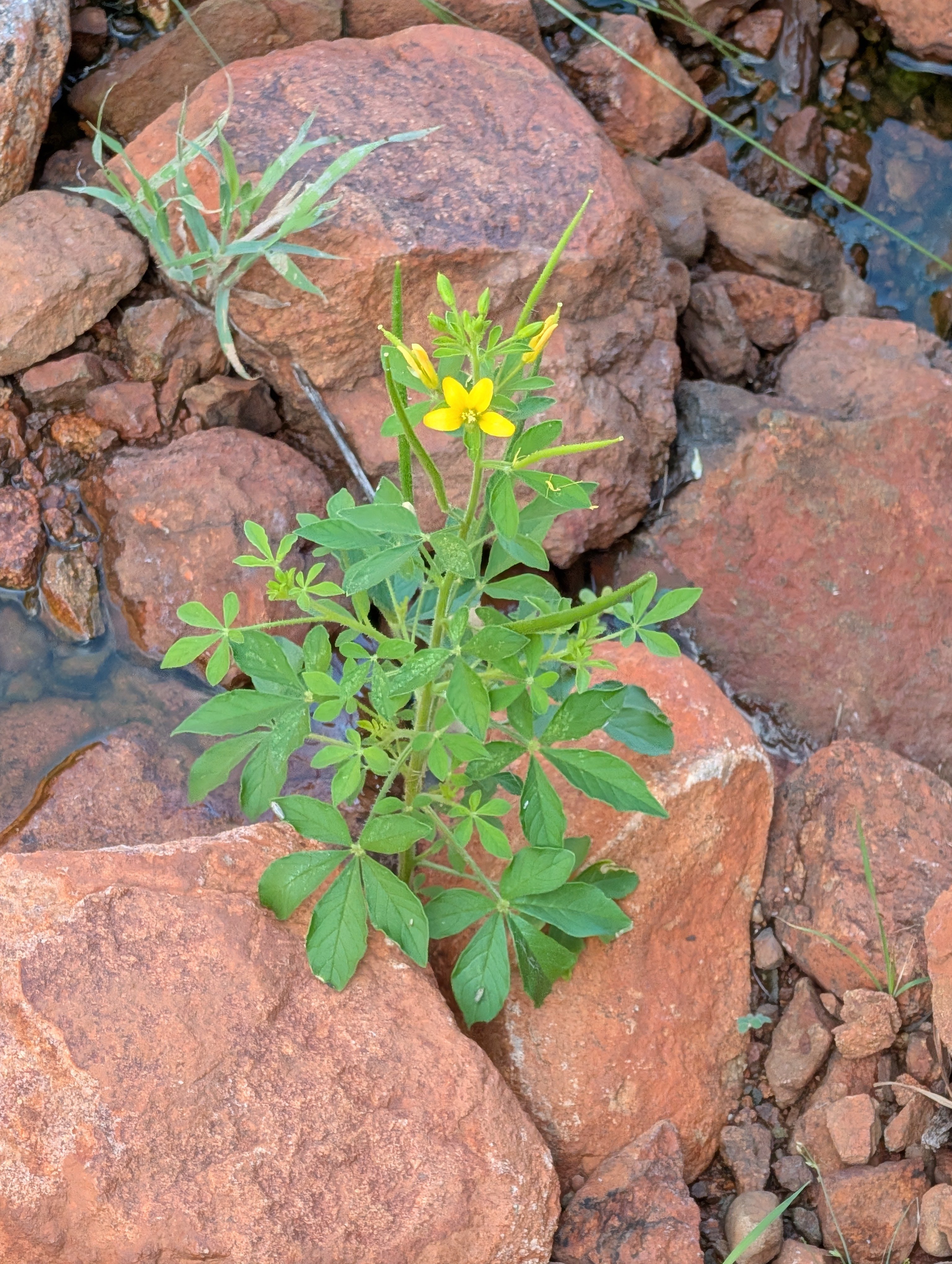 PXL_20260324_235338353